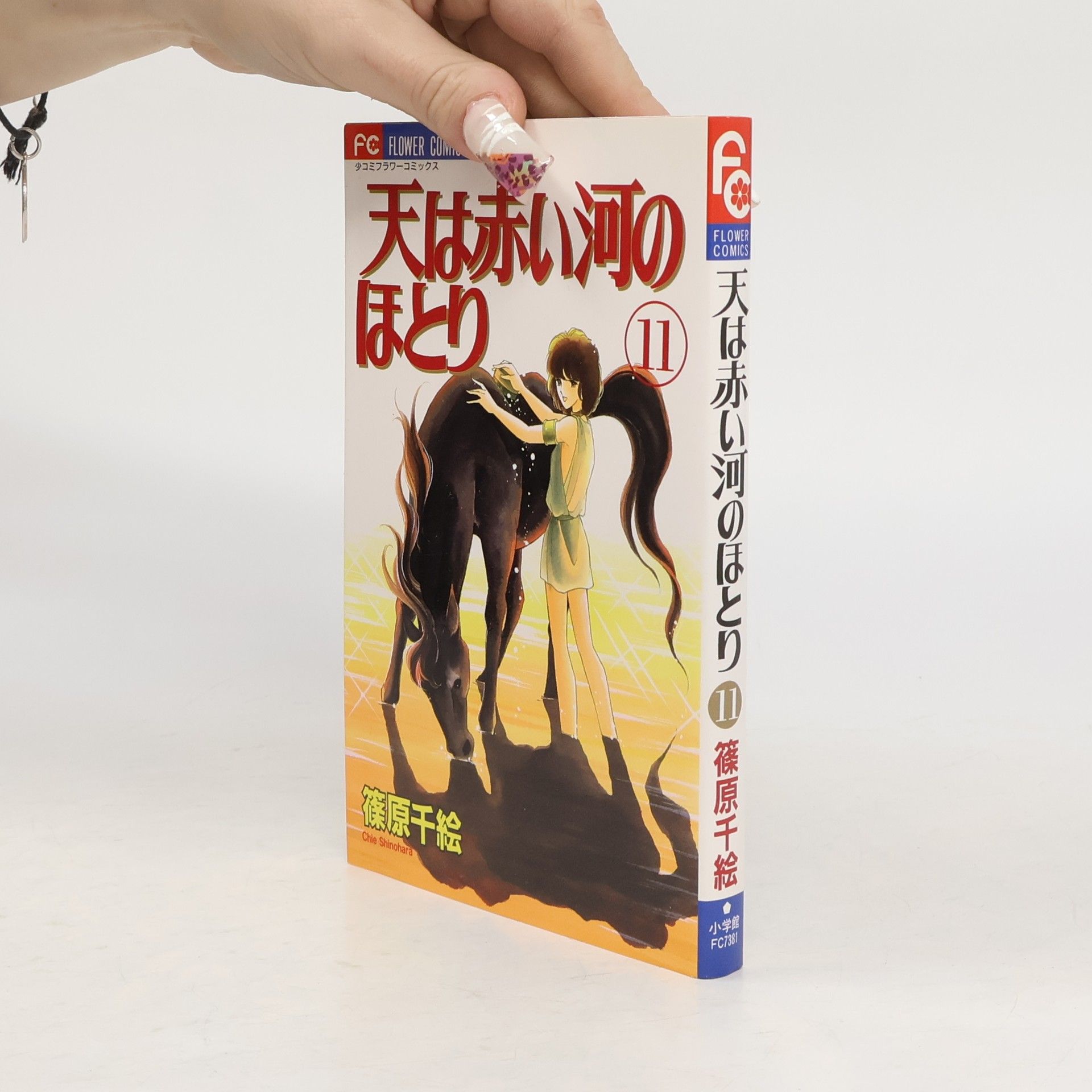 Chie Shinohara 少コミフラワーコミックス - 11: 天は赤い河のほとり