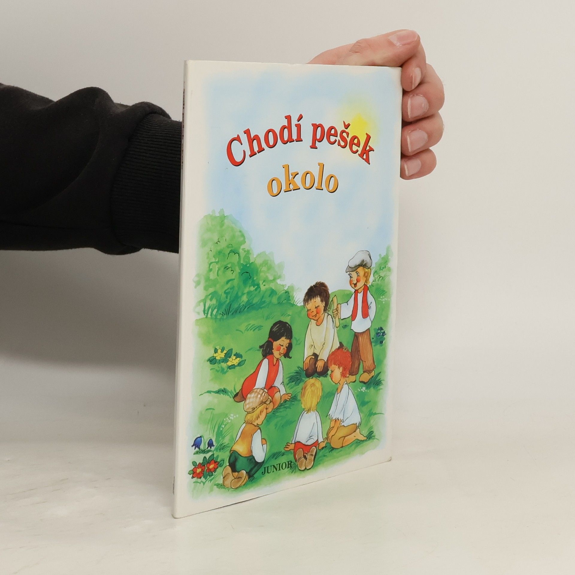 Vladimíra Vopičková Chodí pešek okolo (leporelo)