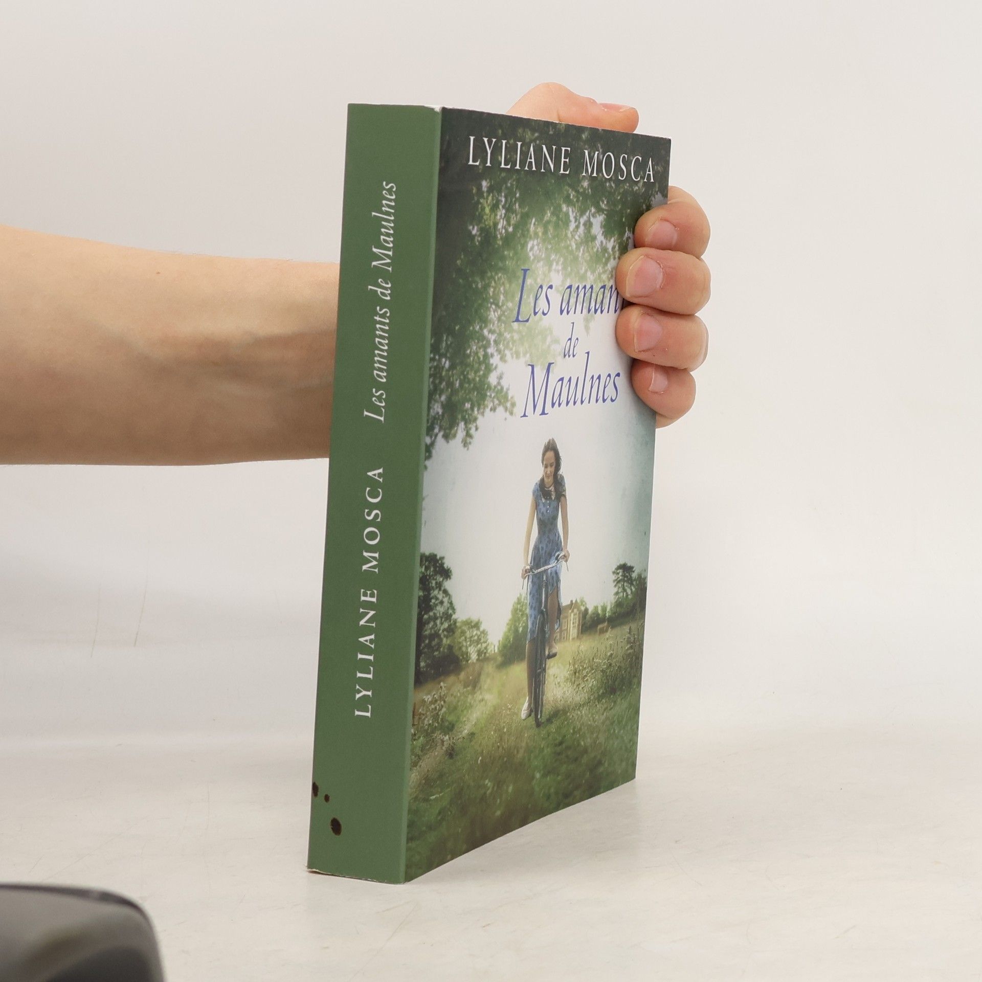 Lyliane Mosca Les amants de Maulnes