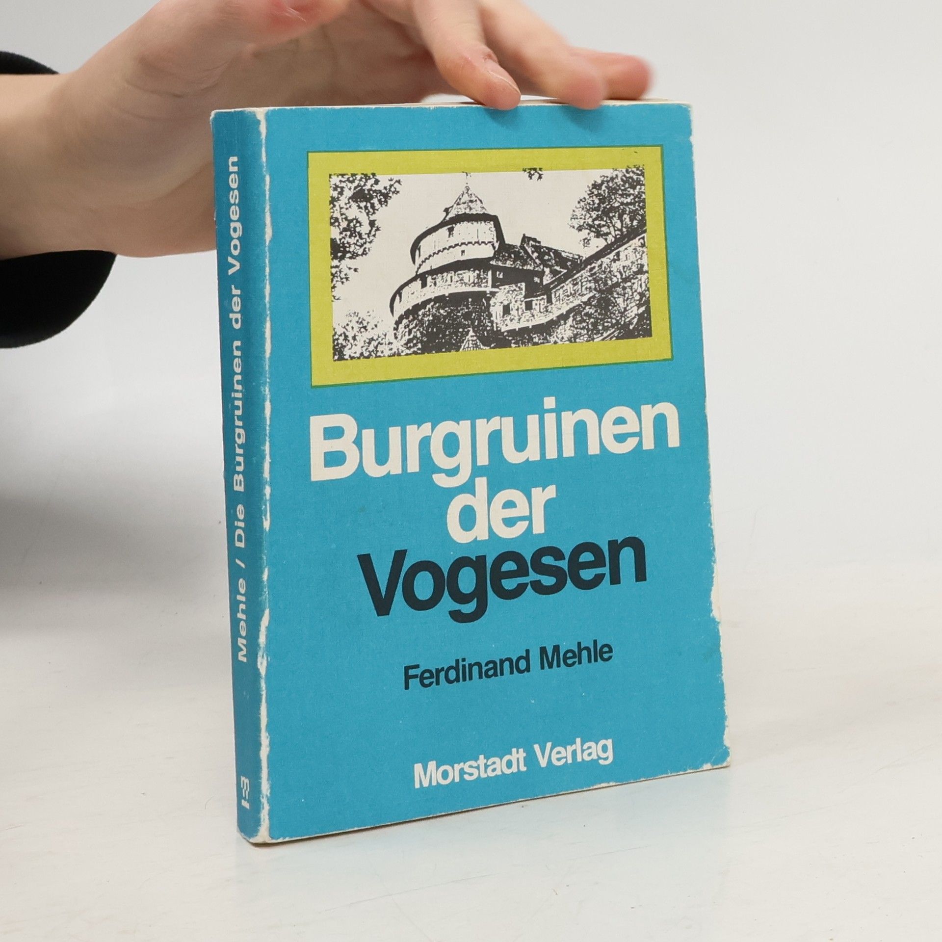 Ferdinand Mehle Die Burgruinen der Vogesen
