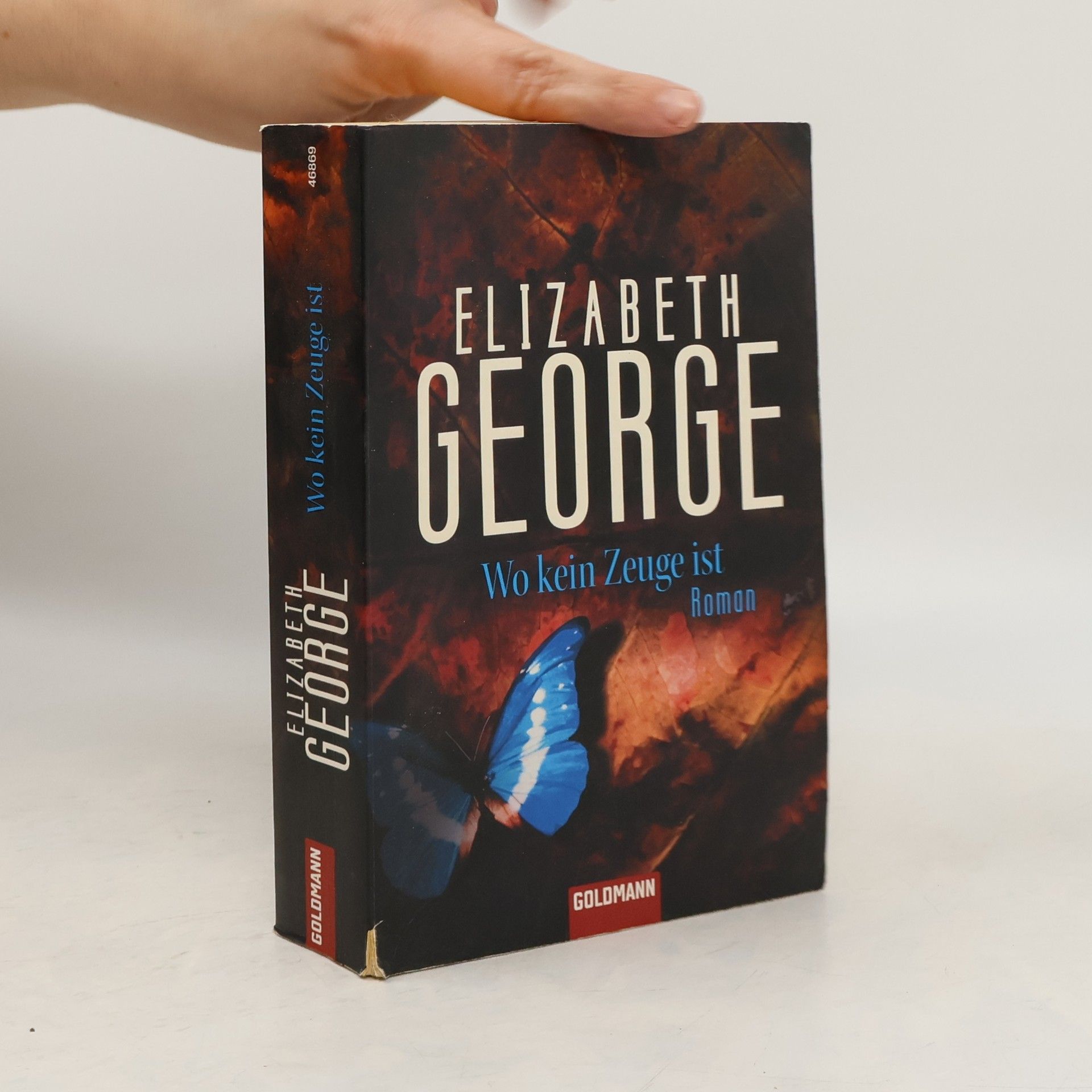 Elizabeth George Wo kein Zeuge ist