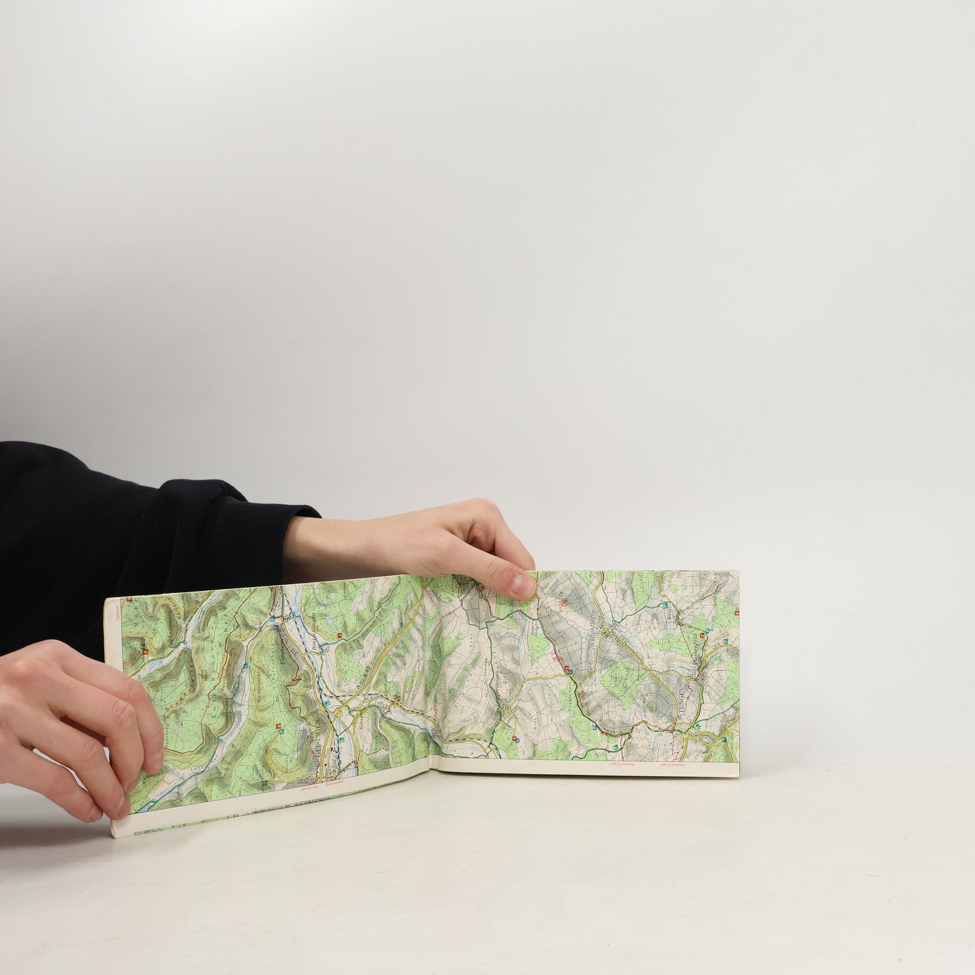 Topographische Sonderkarten Baden-Württemberg, Hegau, Bodensee