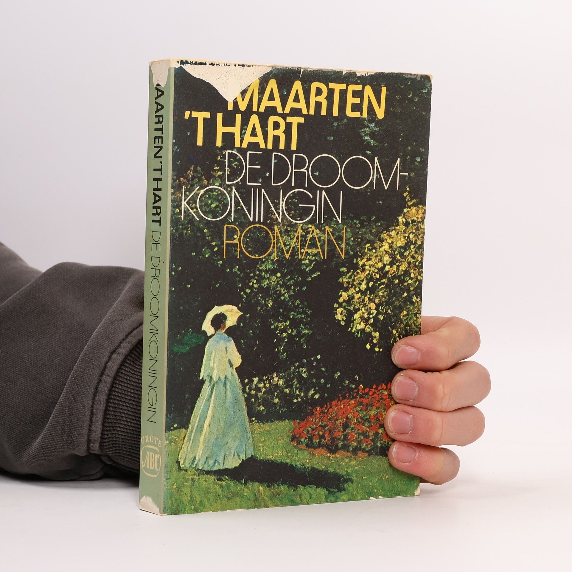 Maarten t. Hart De droomkoningin