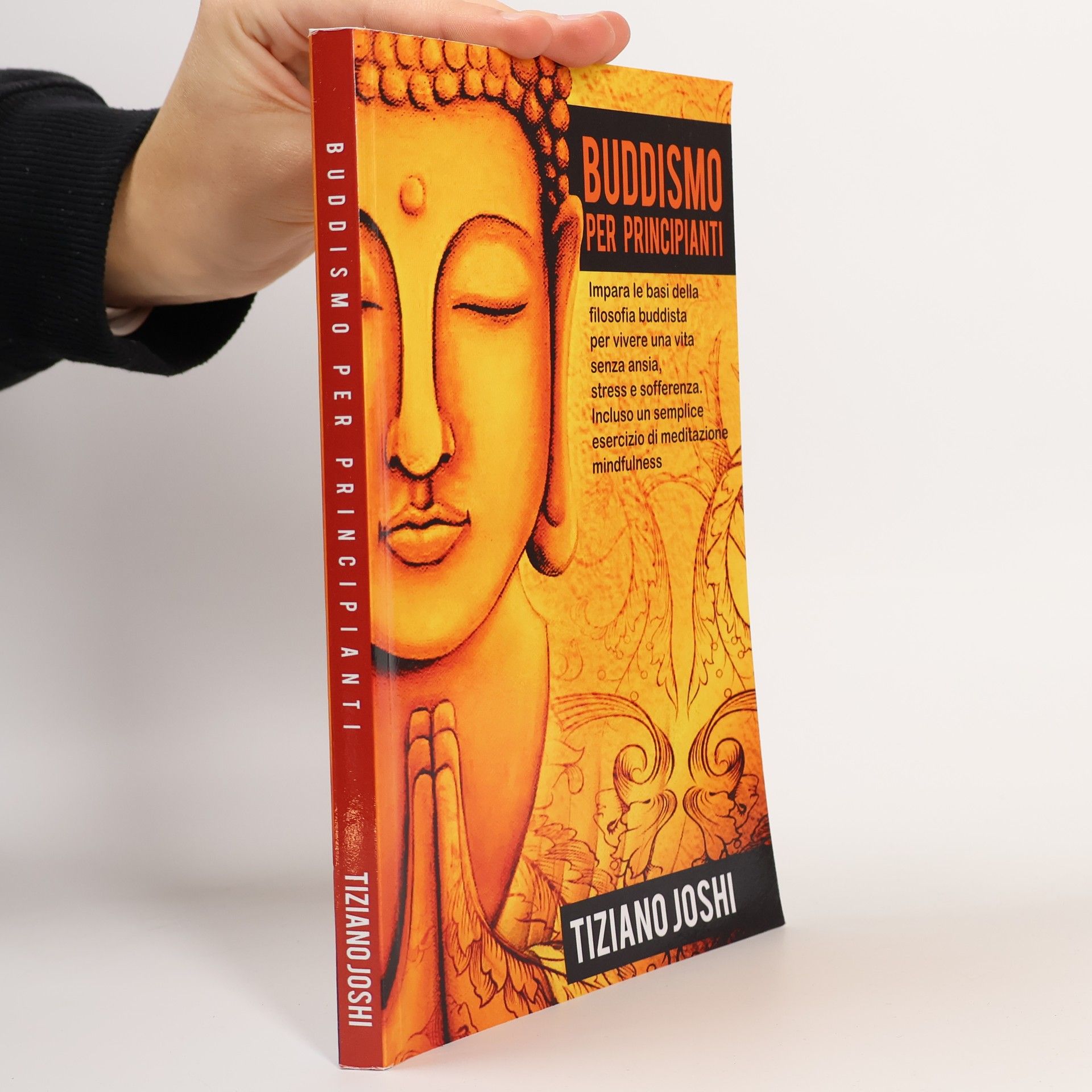 Tiziano Joshi Buddismo per principianti