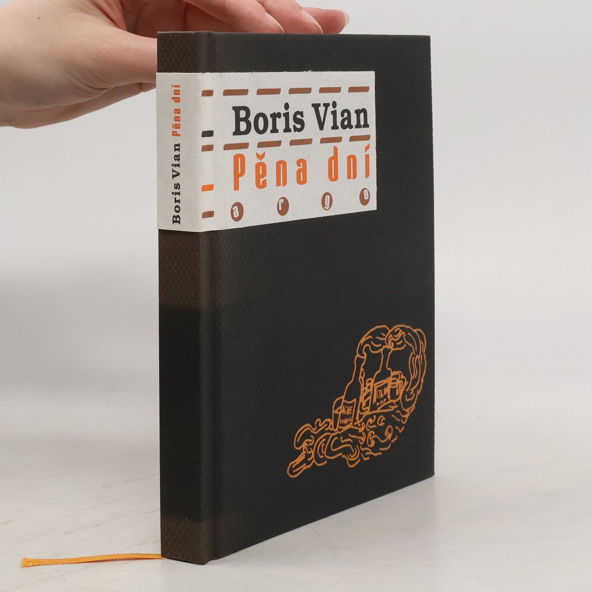 Boris Vian Pěna dní