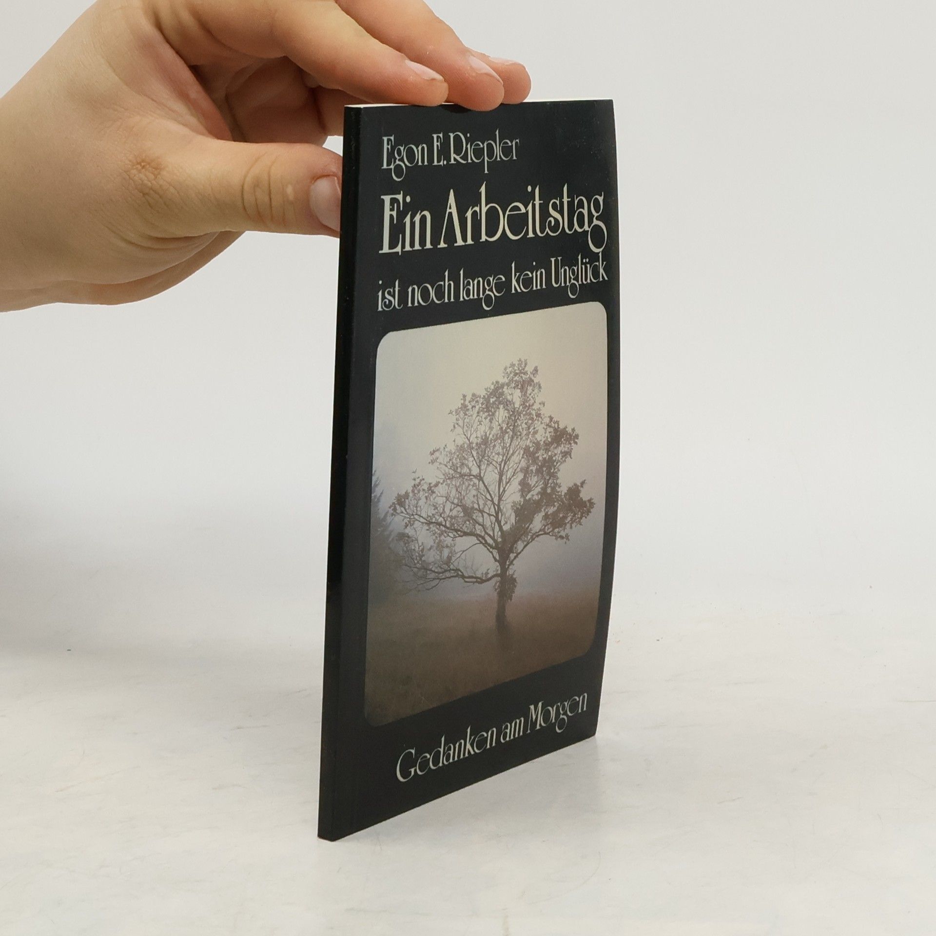 Egon E. Riepler Ein Arbeitstag ist noch lange kein Unglück