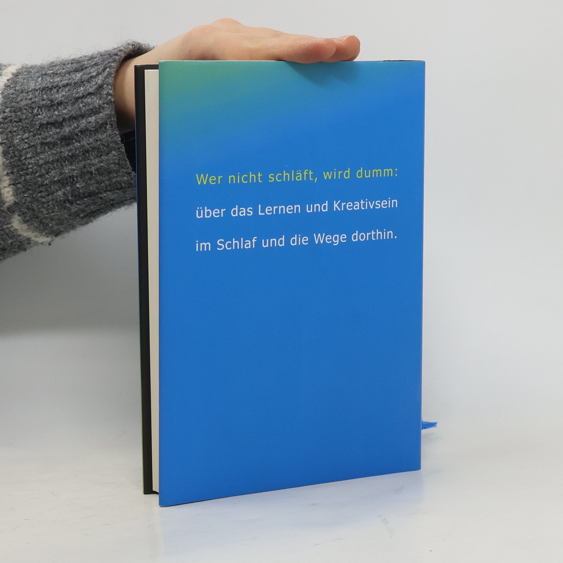 Peter Spork Das Schlafbuch