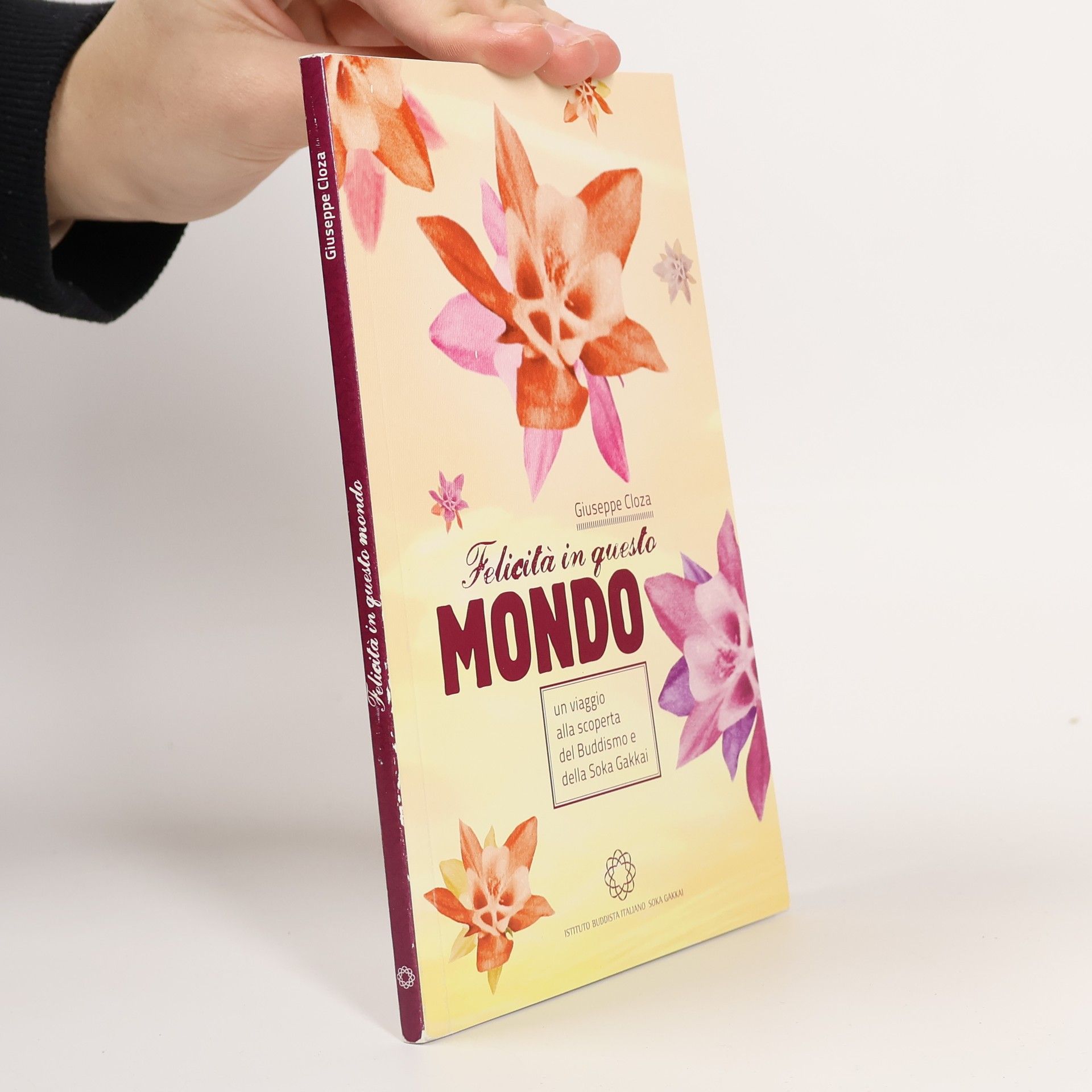 Felicità in questo mondo. Un viaggio alla scoperta del buddismo e della Soka Gakkai