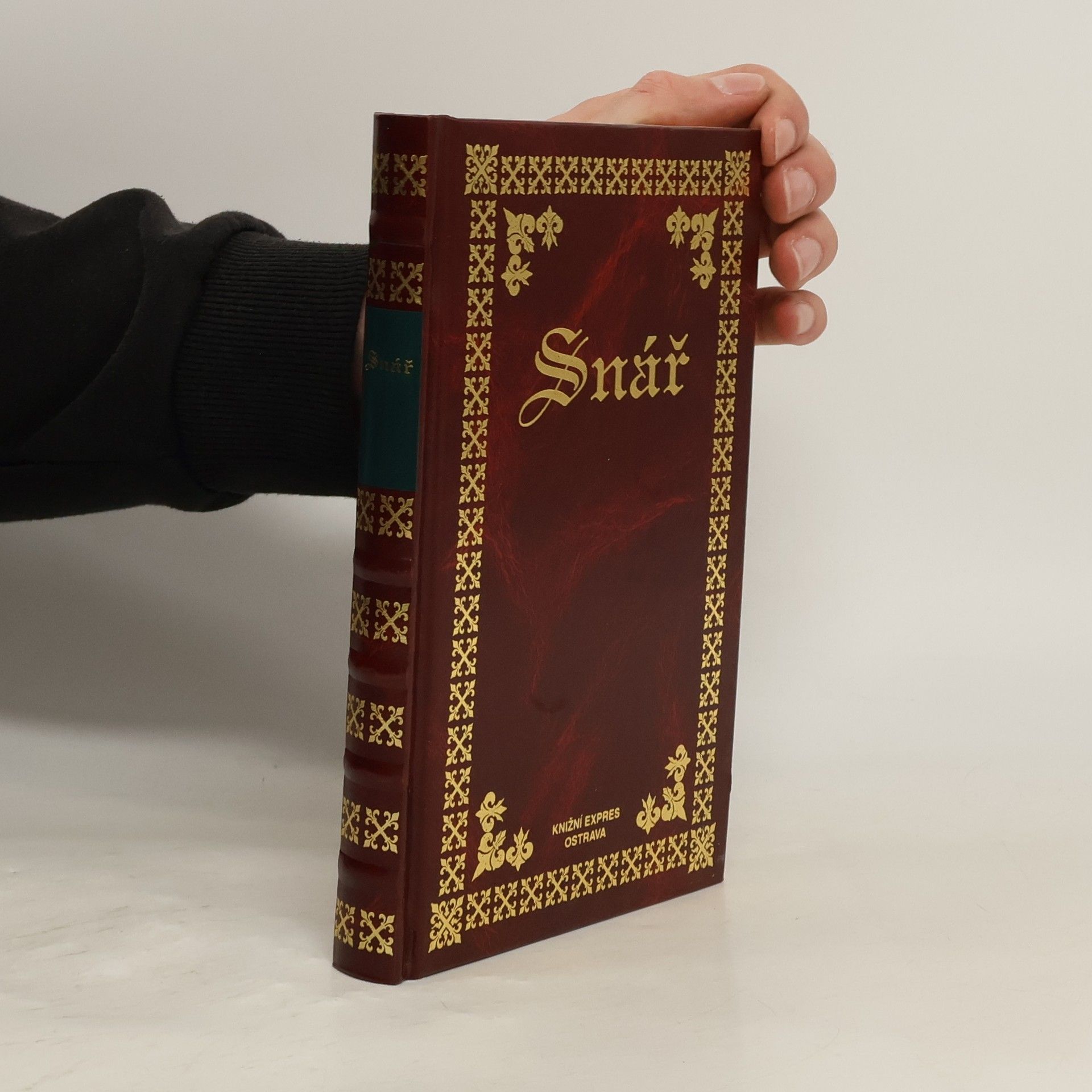 Helena Lesňáková Snář