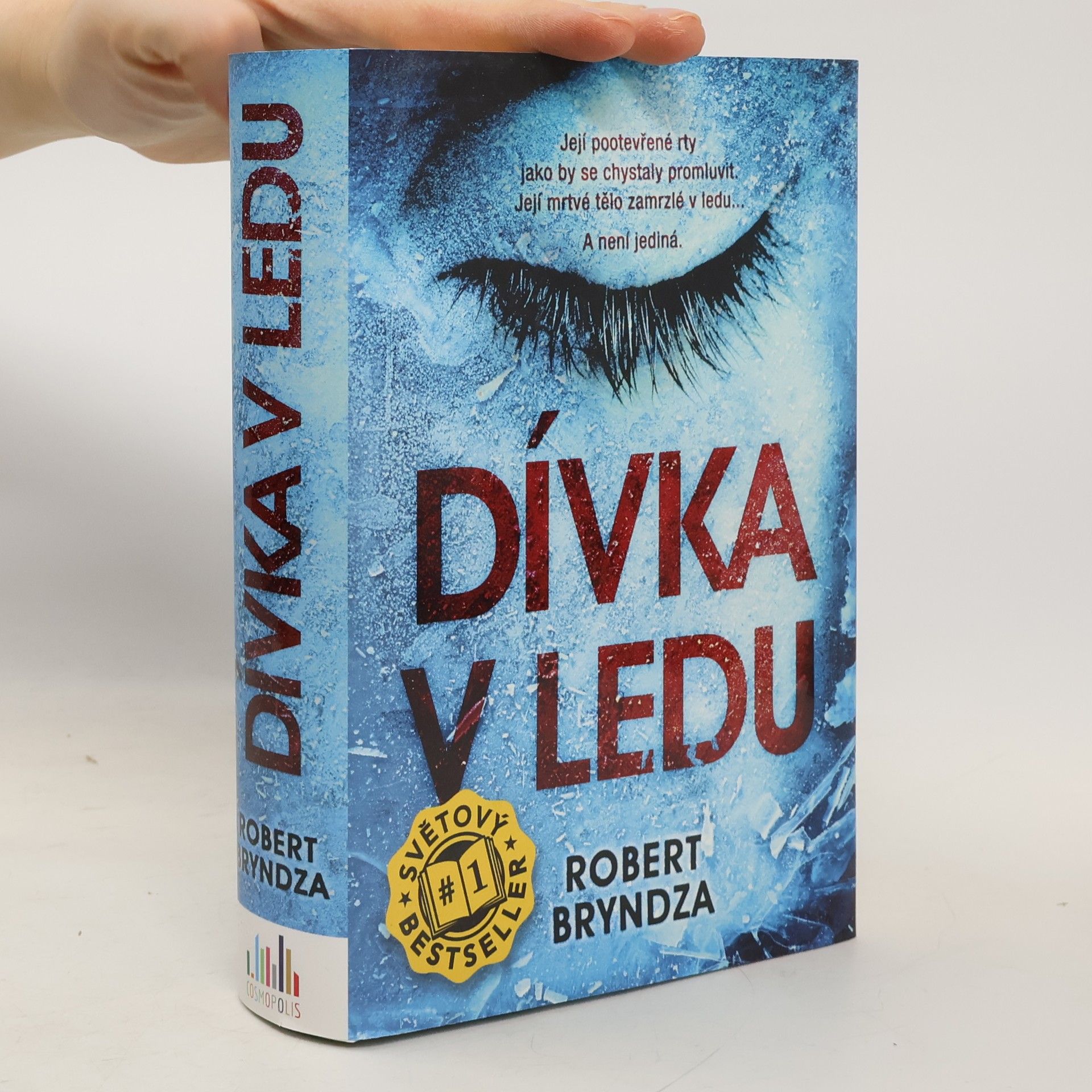 Robert Bryndza Dívka v ledu