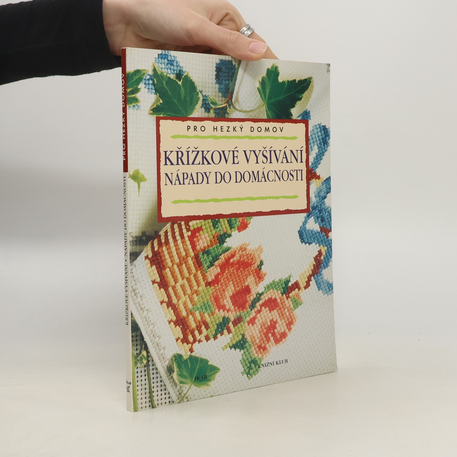 Eva Bednářová Křížkové vyšívání. Nápady do domácnosti