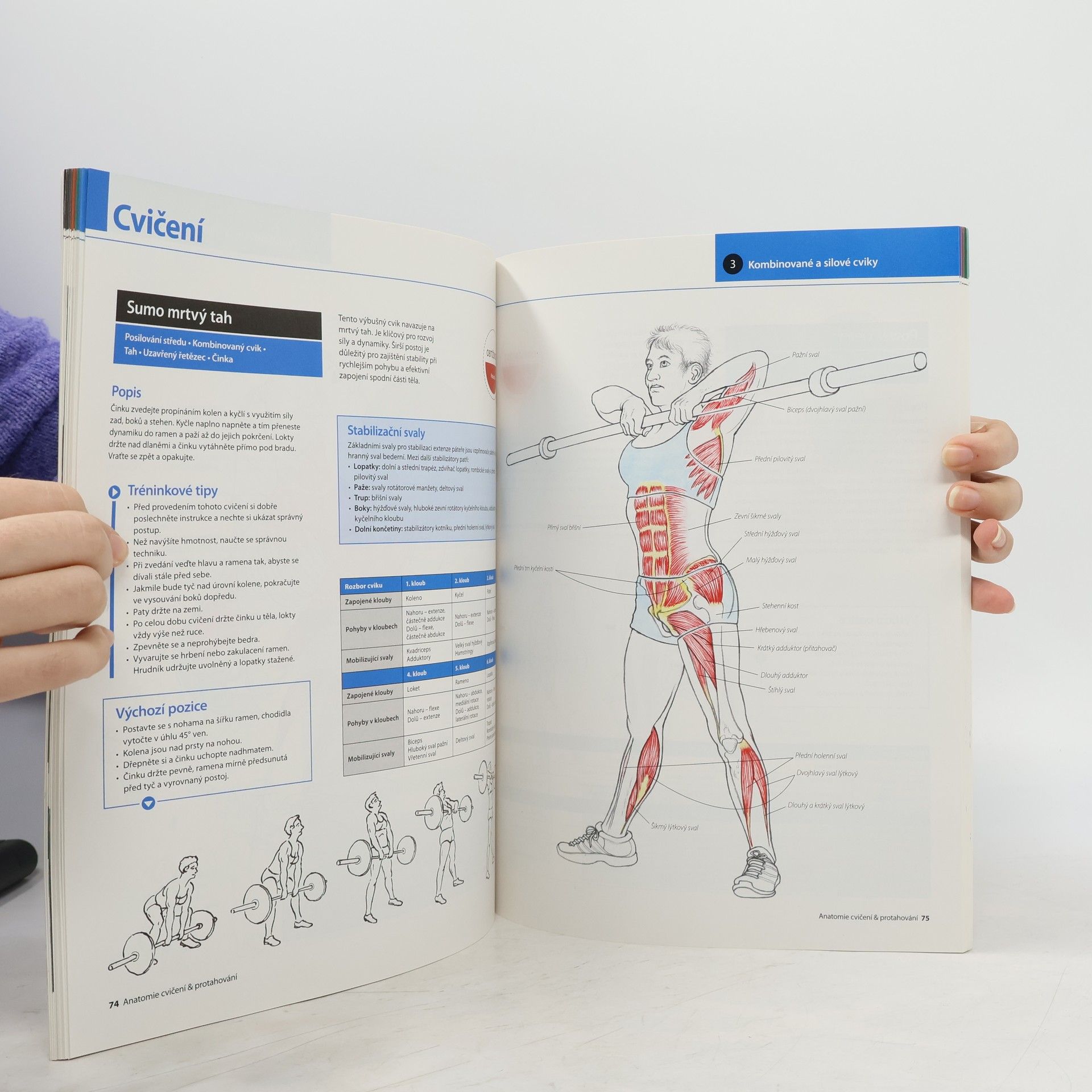 Mark Vella Anatomie cvičení a protahování pro každého
