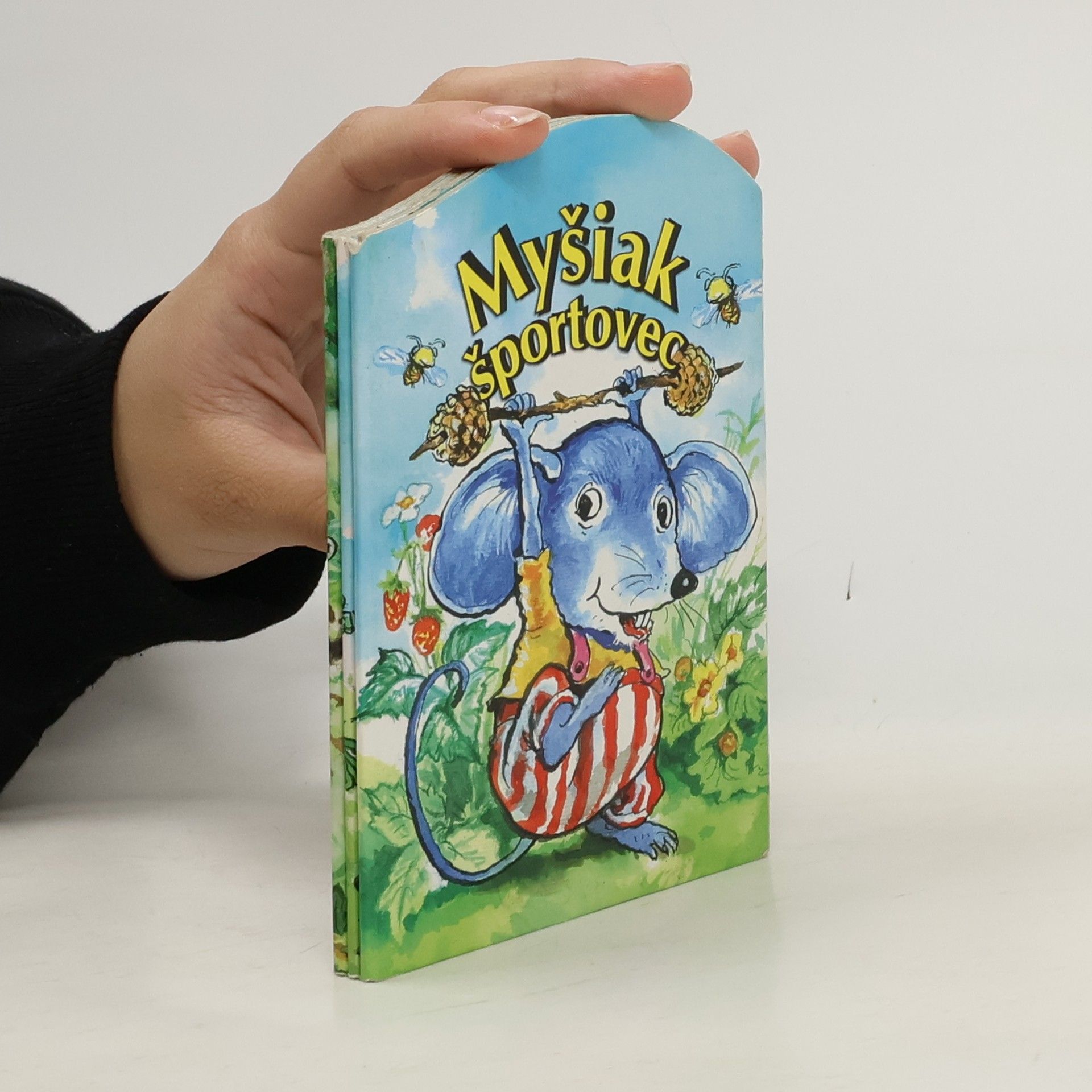 Autorenkollektiv Myšiak športovec