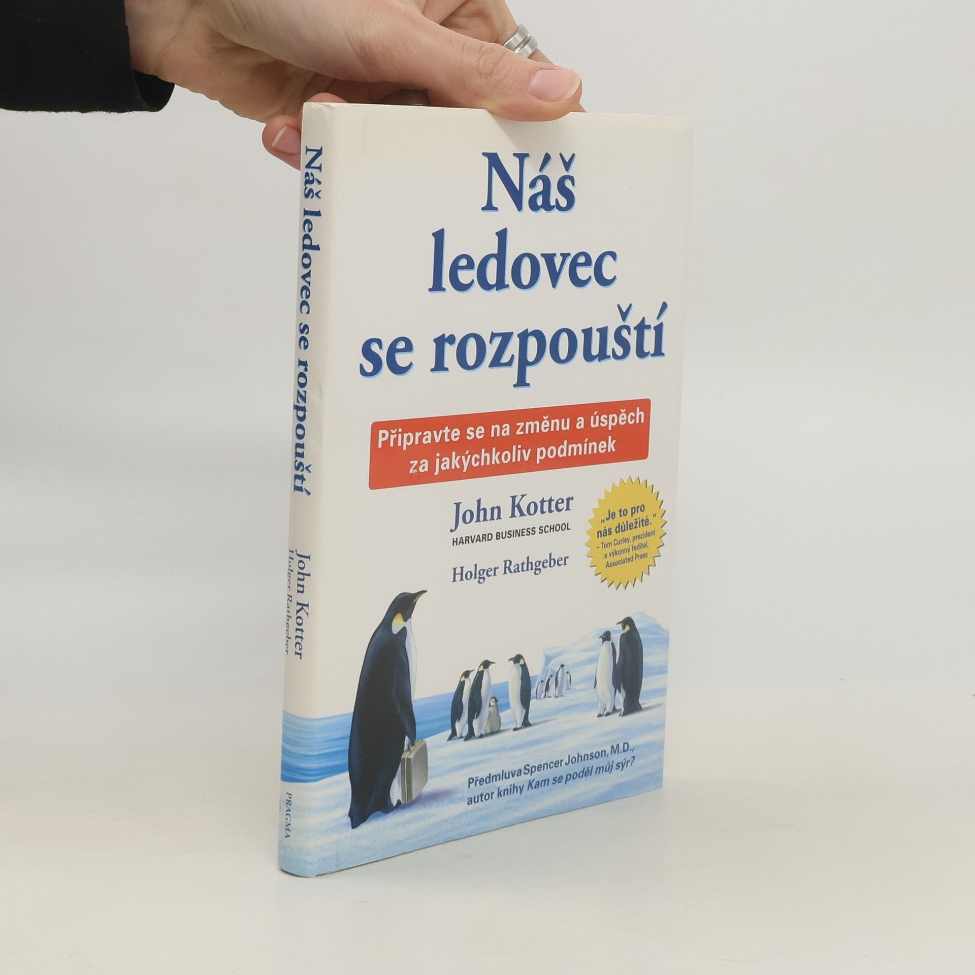 Náš ledovec se rozpouští