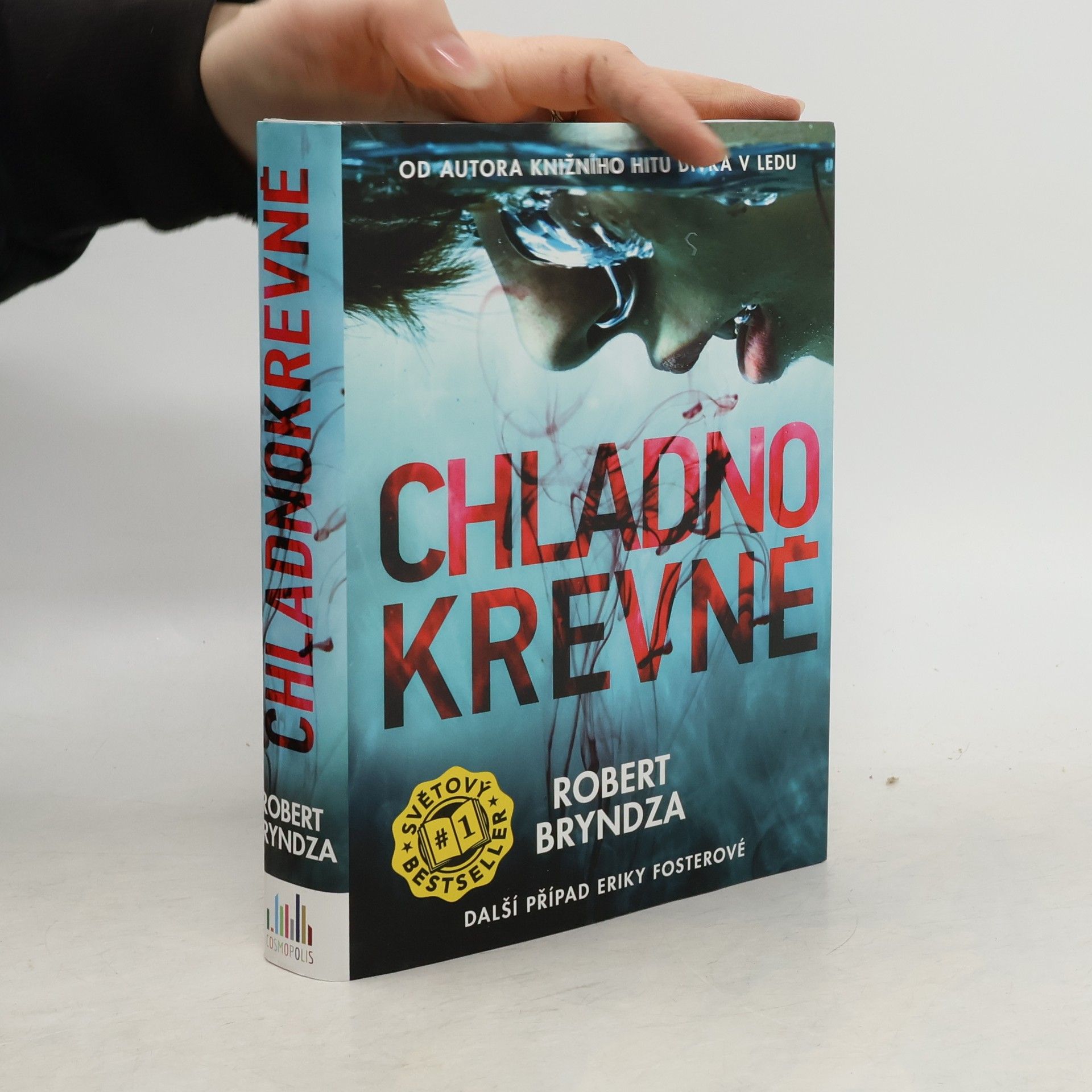 Robert Bryndza Chladnokrevně