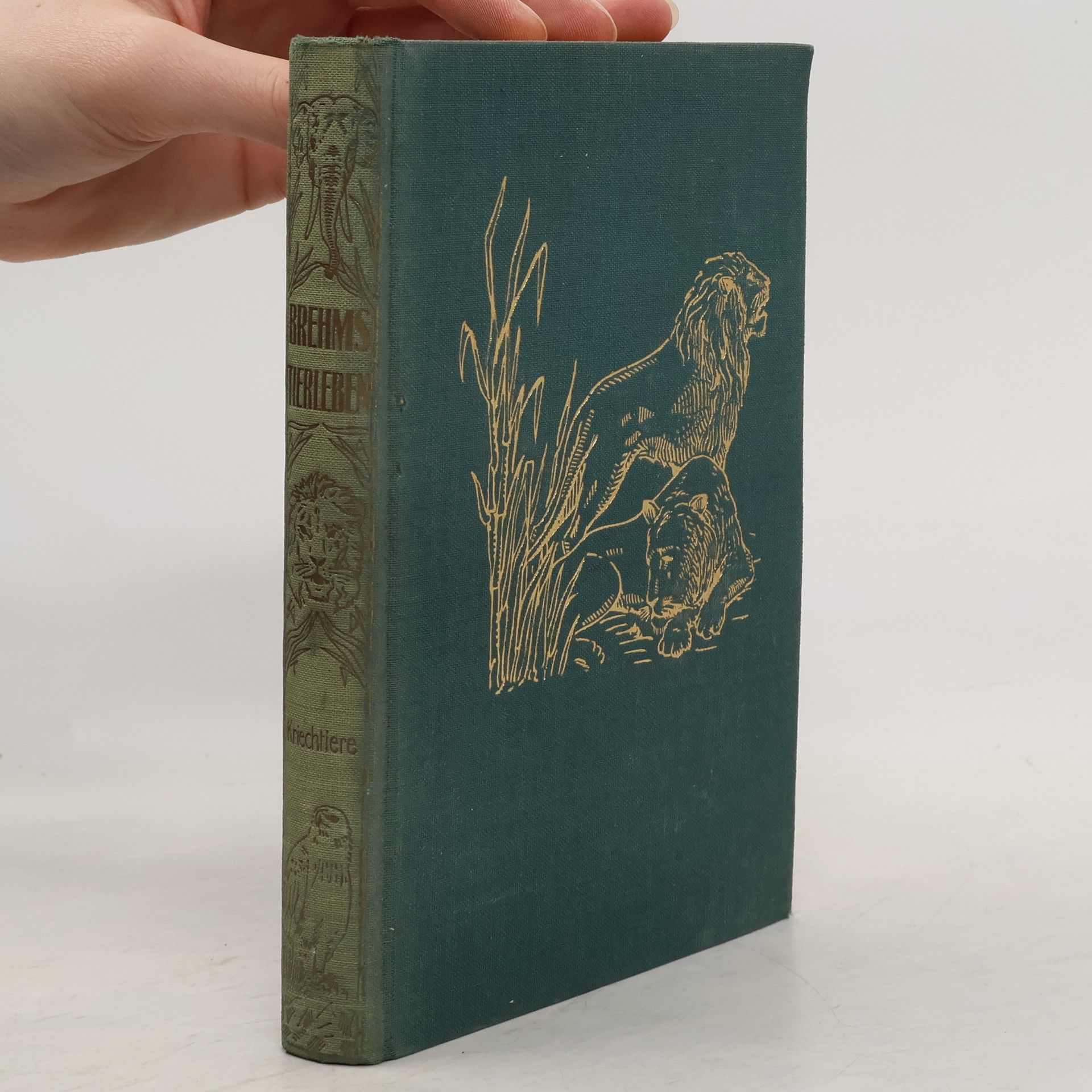 Alfred Edmund Brehm Brehms Tierleben 1