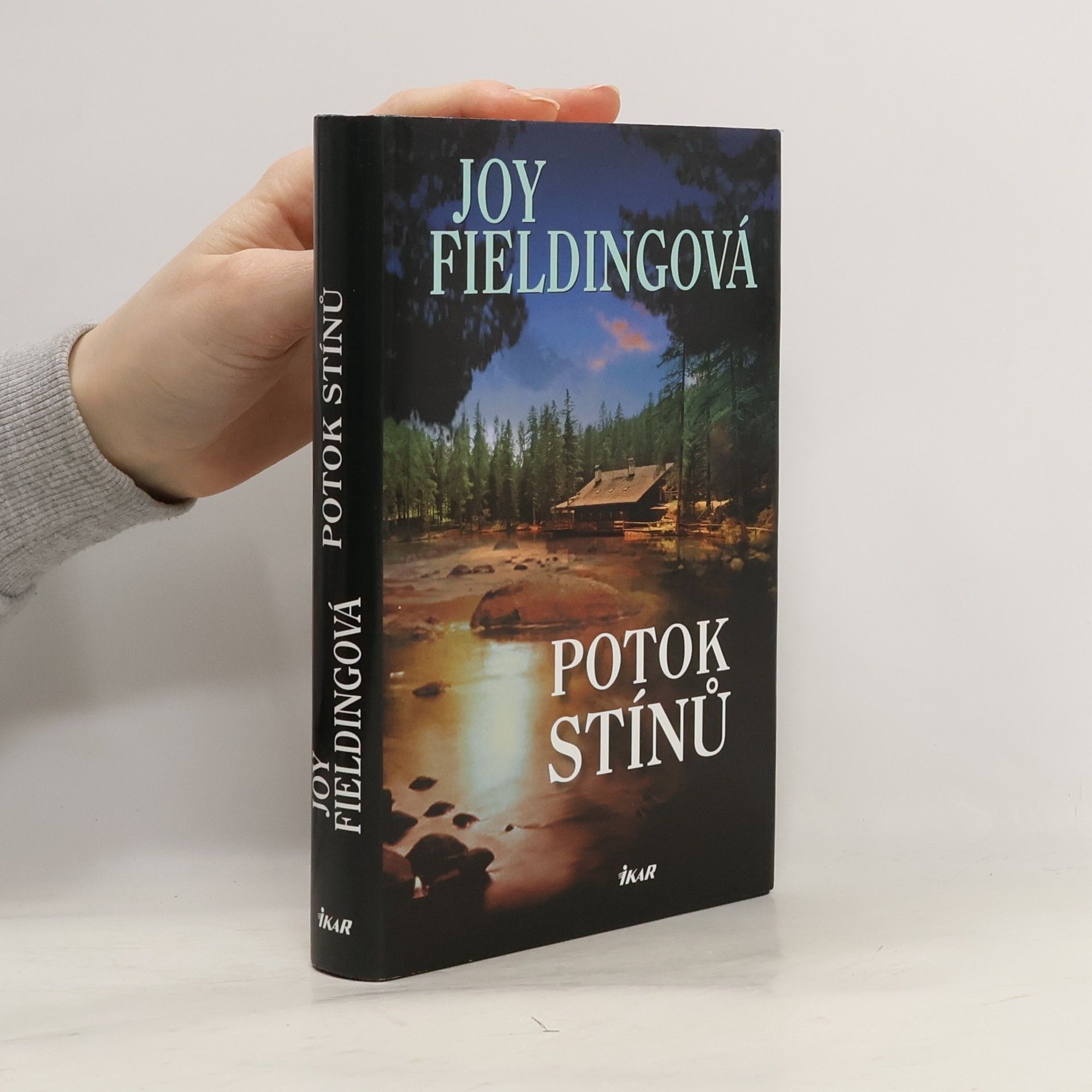 Joy Fielding Potok stínů