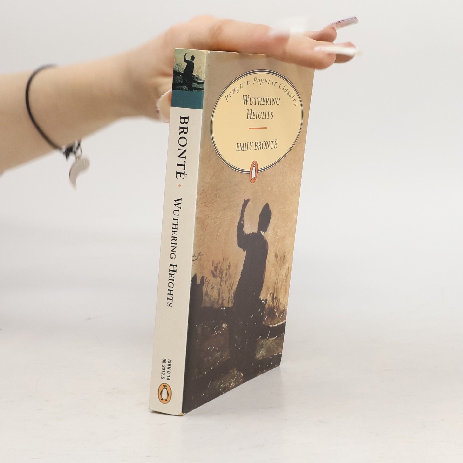 Emily Brontë Wuthering Heights