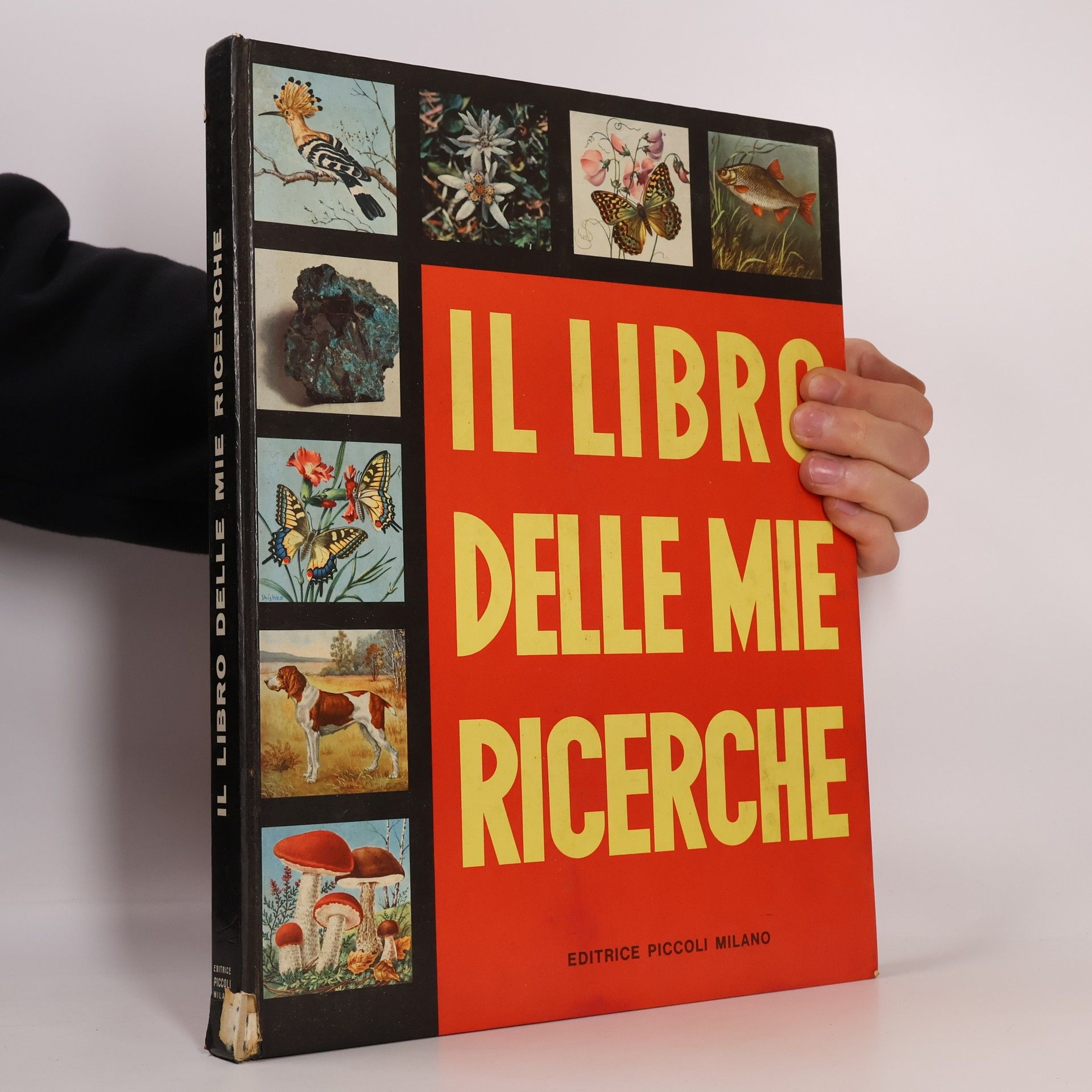 Collectif d'auteurs Il libro delle mie ricerche