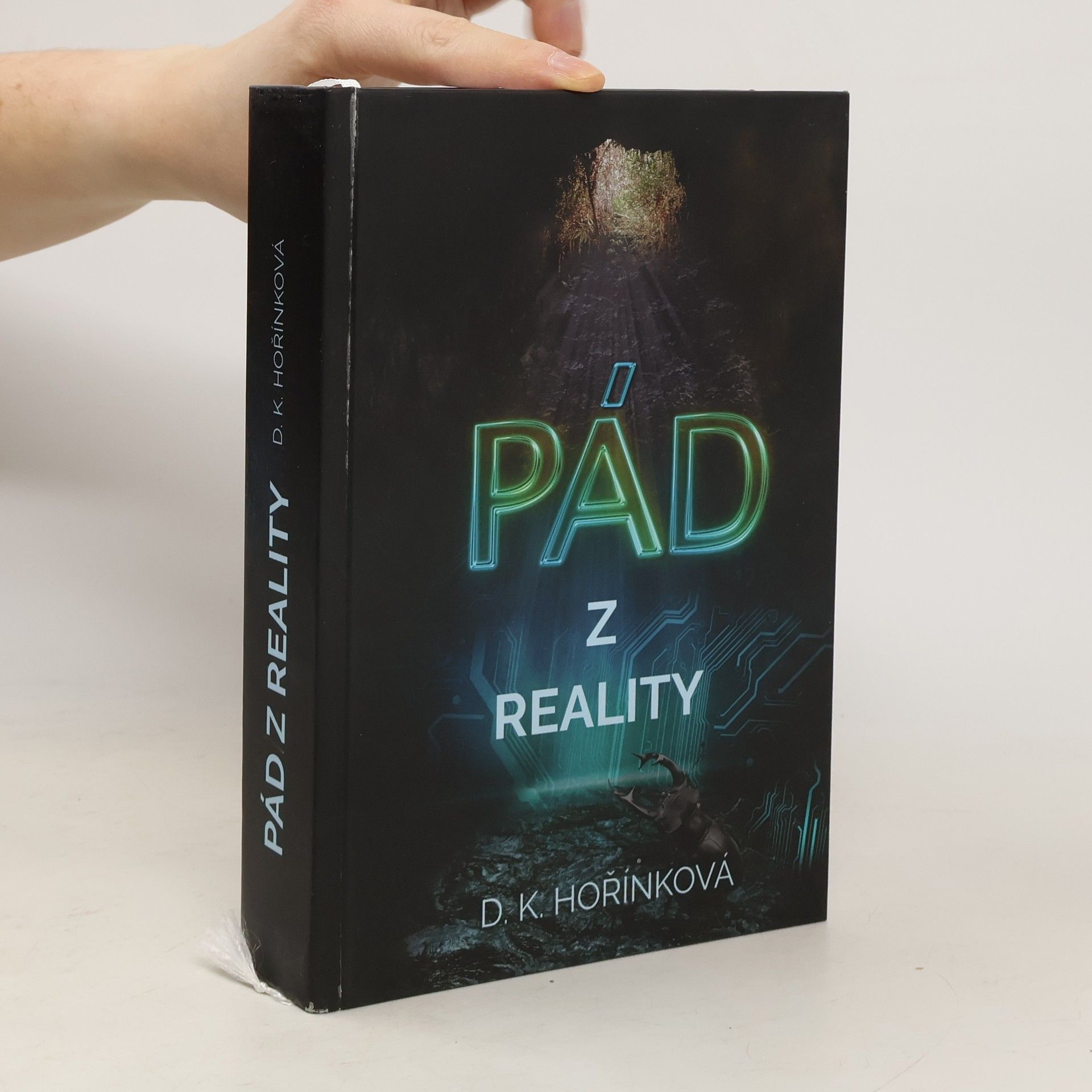 D. K. Hořínková Pád z reality