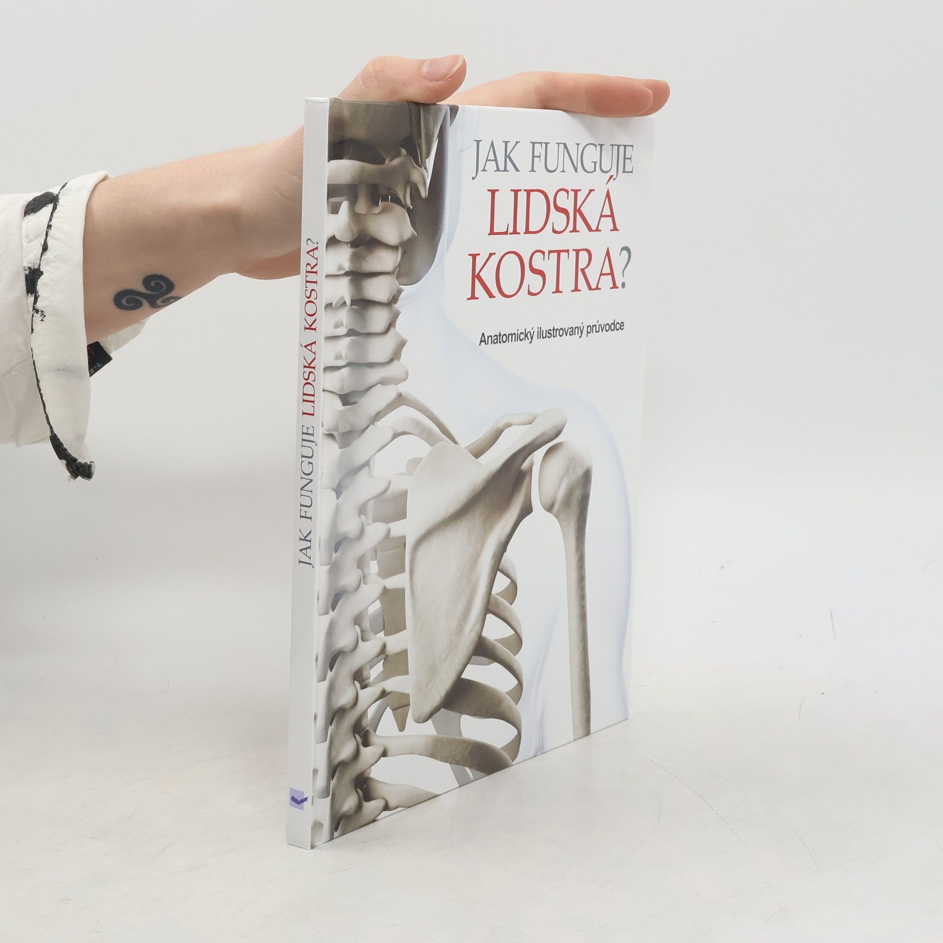 Peter Abrahams Jak funguje lidská kostra?