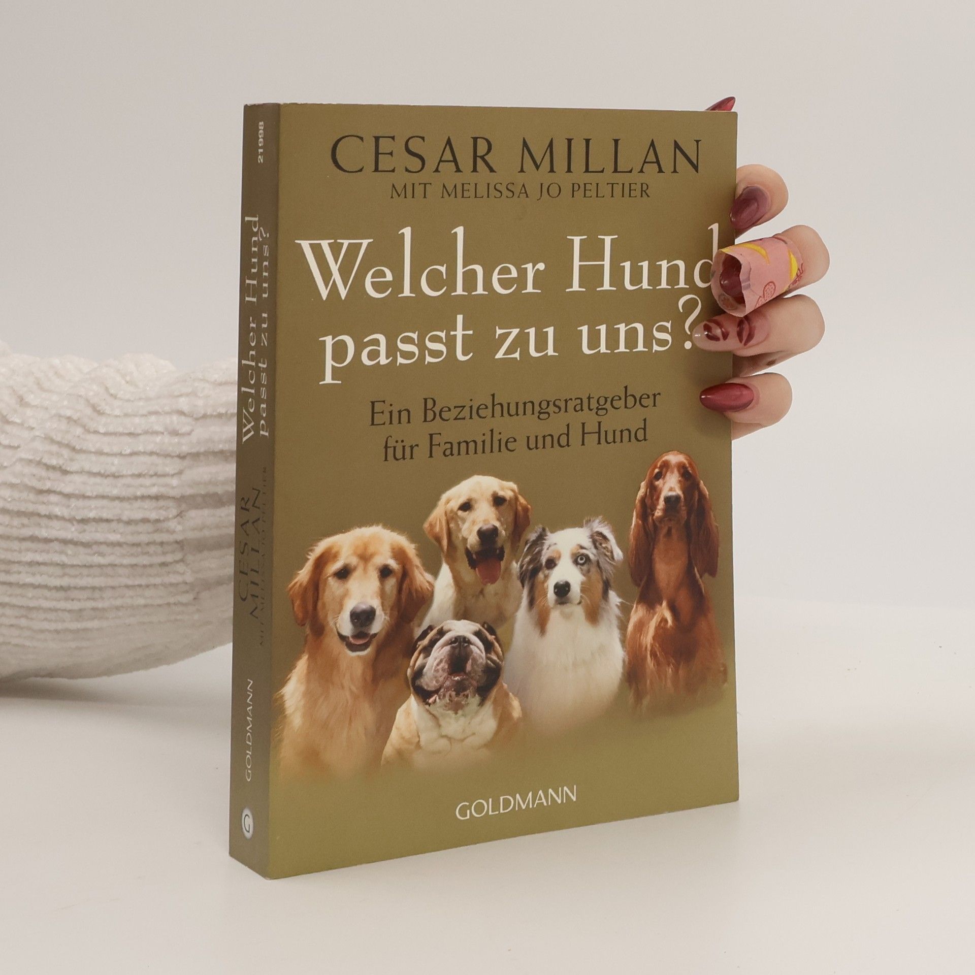 Cesar Millan Welcher Hund passt zu uns?