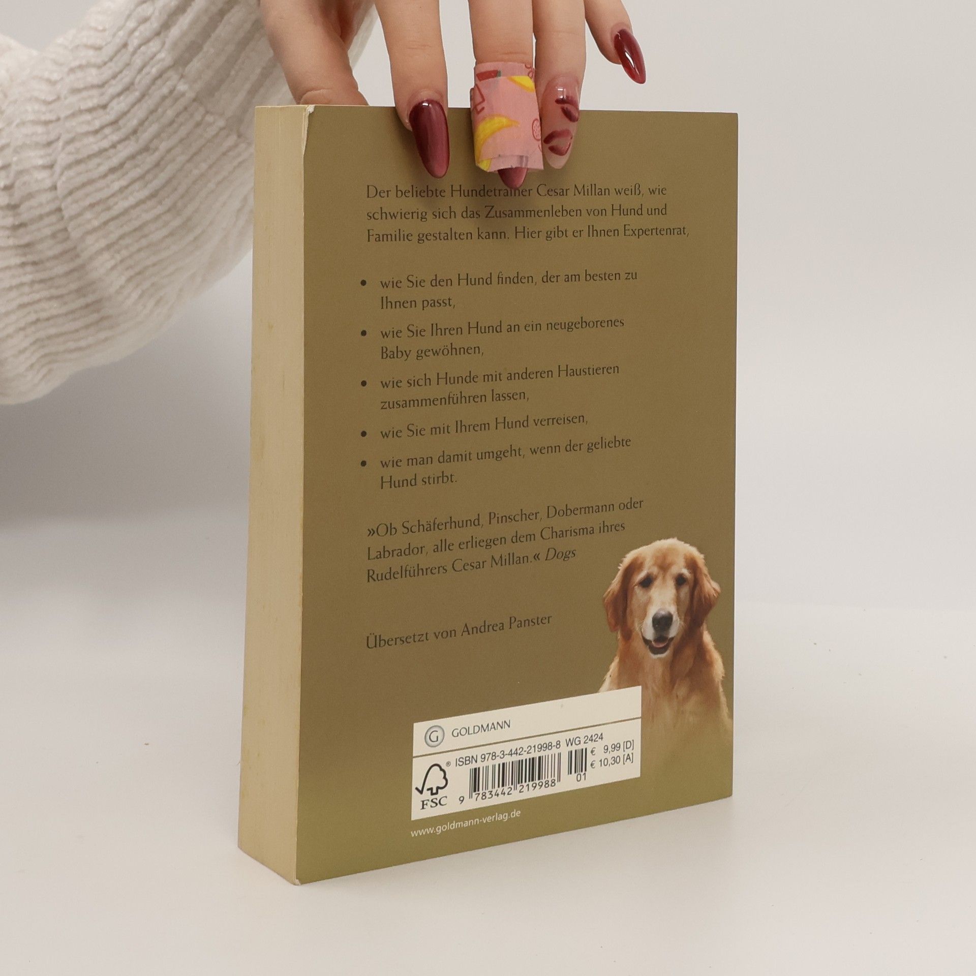 Cesar Millan Welcher Hund passt zu uns?