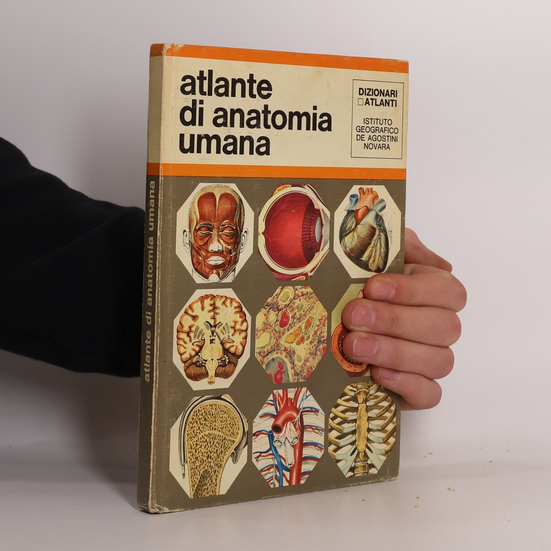 Collectif d'auteurs Atlante di anatomia umana