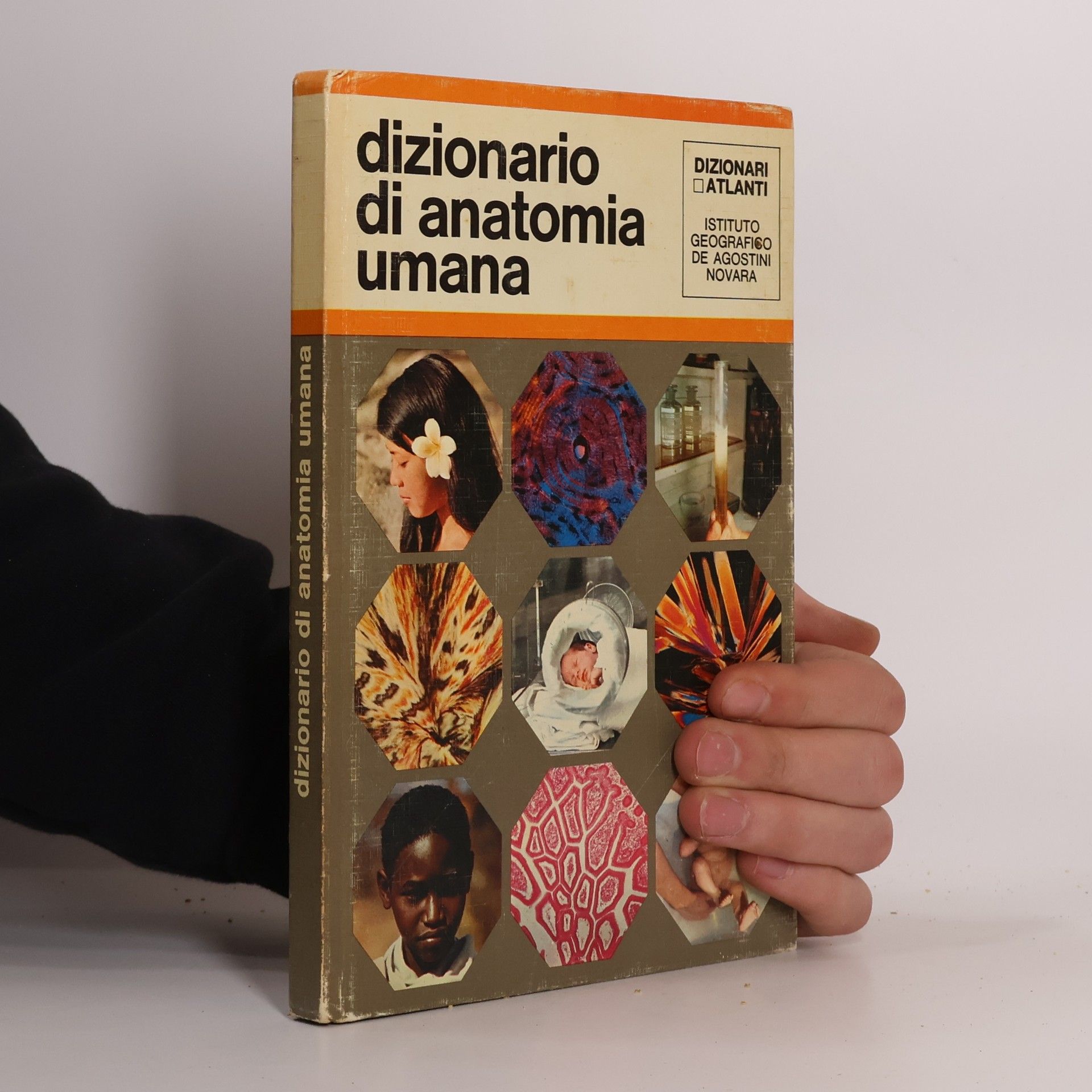 Nicola Piscitelli Dizionario di anatomia umana