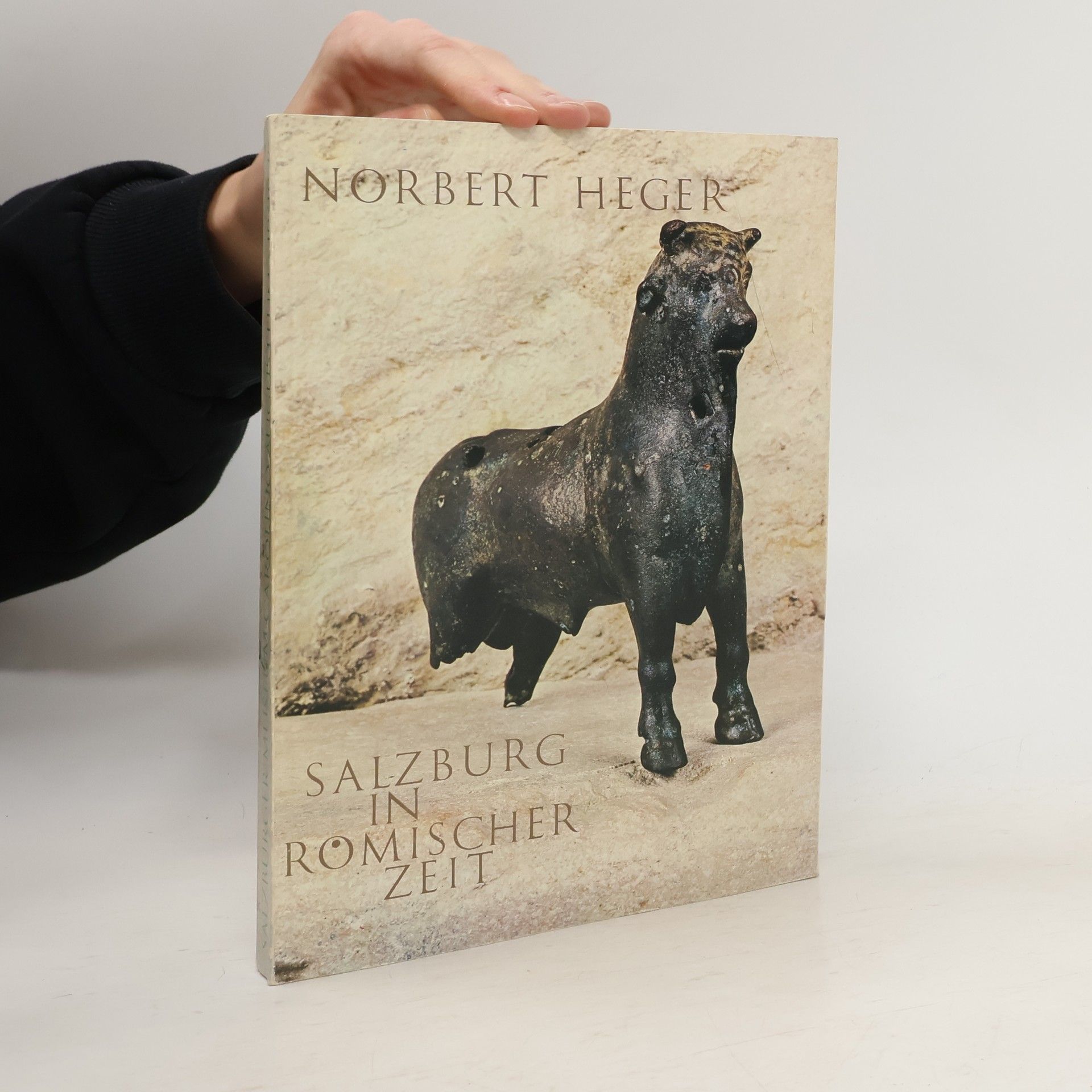 Norbert Heger Salzburg in Romischer Zeit