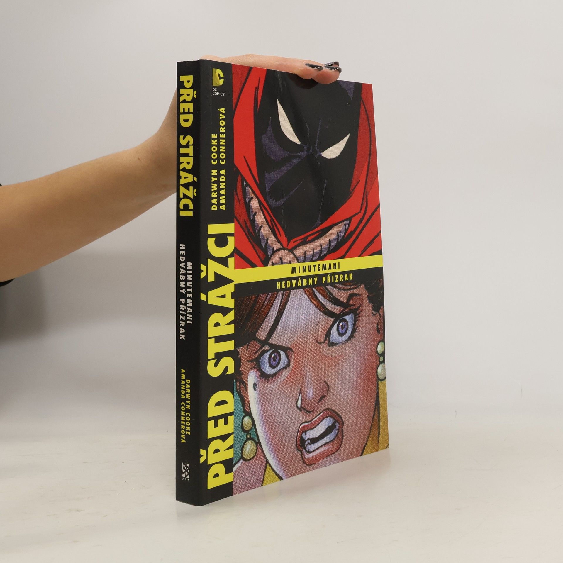 Darwyn Cooke Minutemani / Hedvábný přízrak