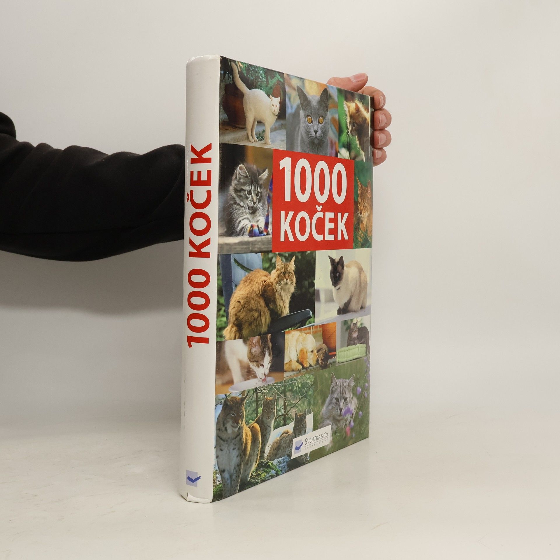 Kolektív autorov 1000 koček