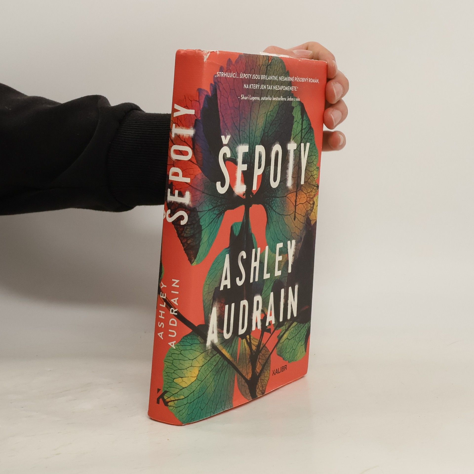 Viktorie Košnarová Šepoty