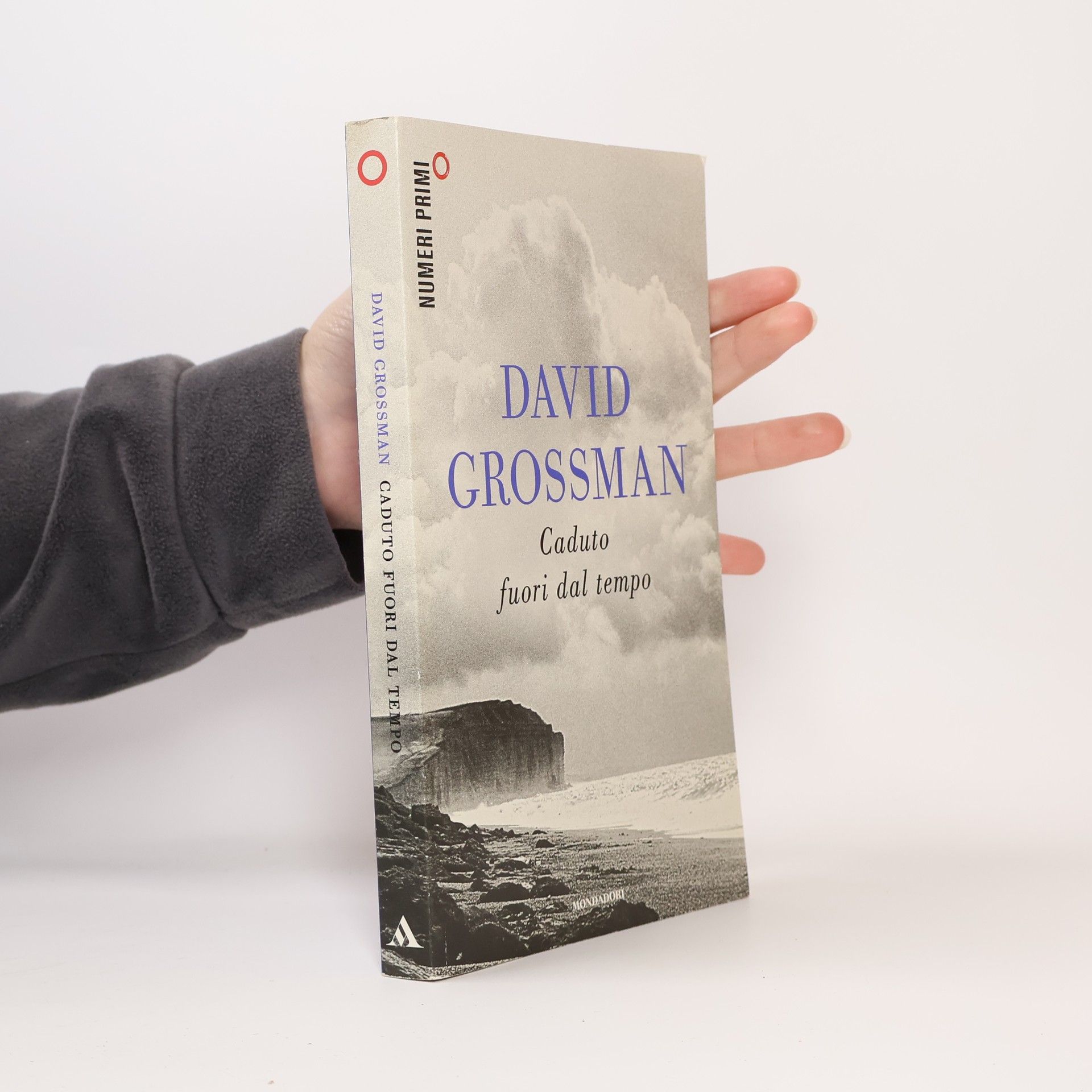 David Grossman Numeri Primi: Caduto fuori dal tempo