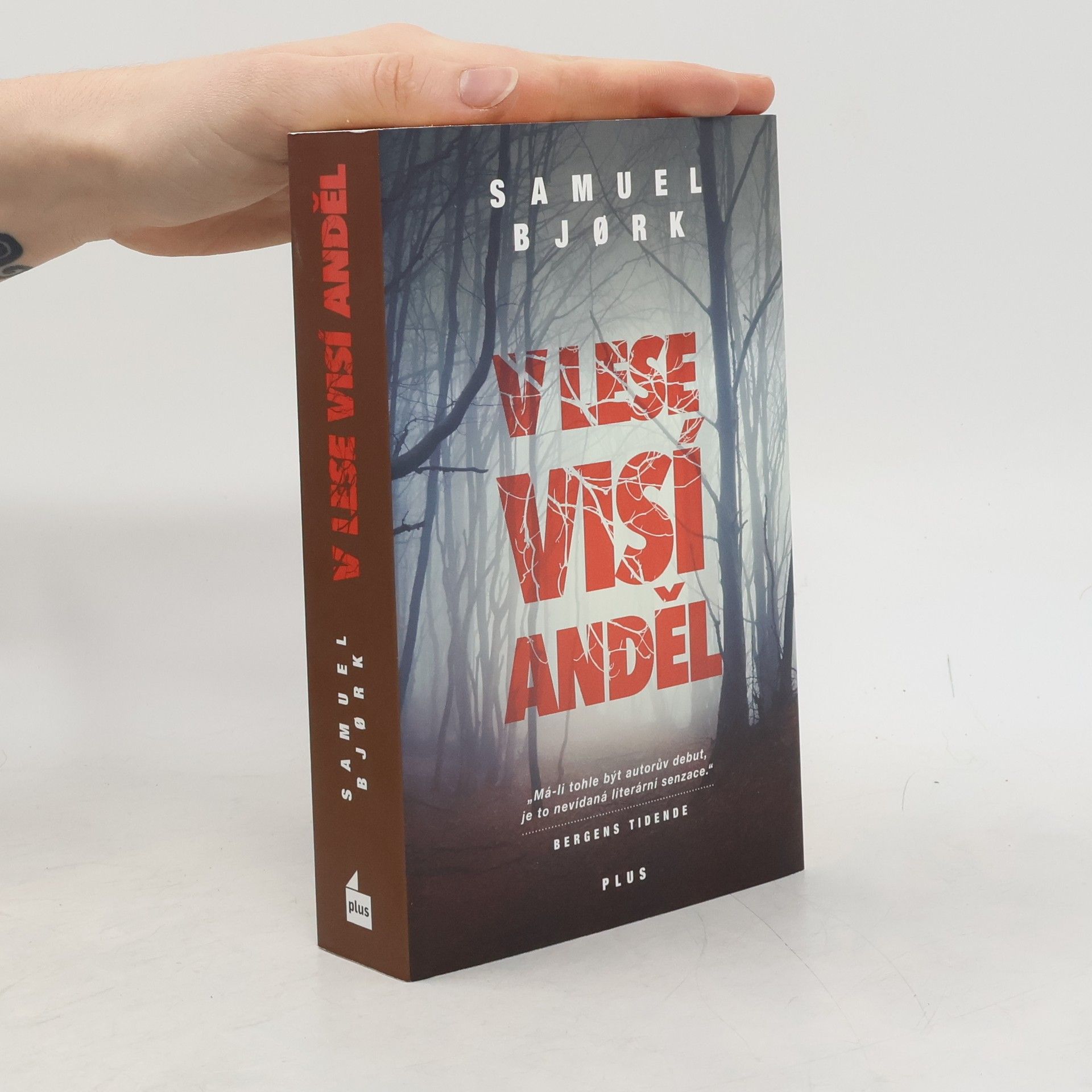 Samuel Bjork V lese visí anděl