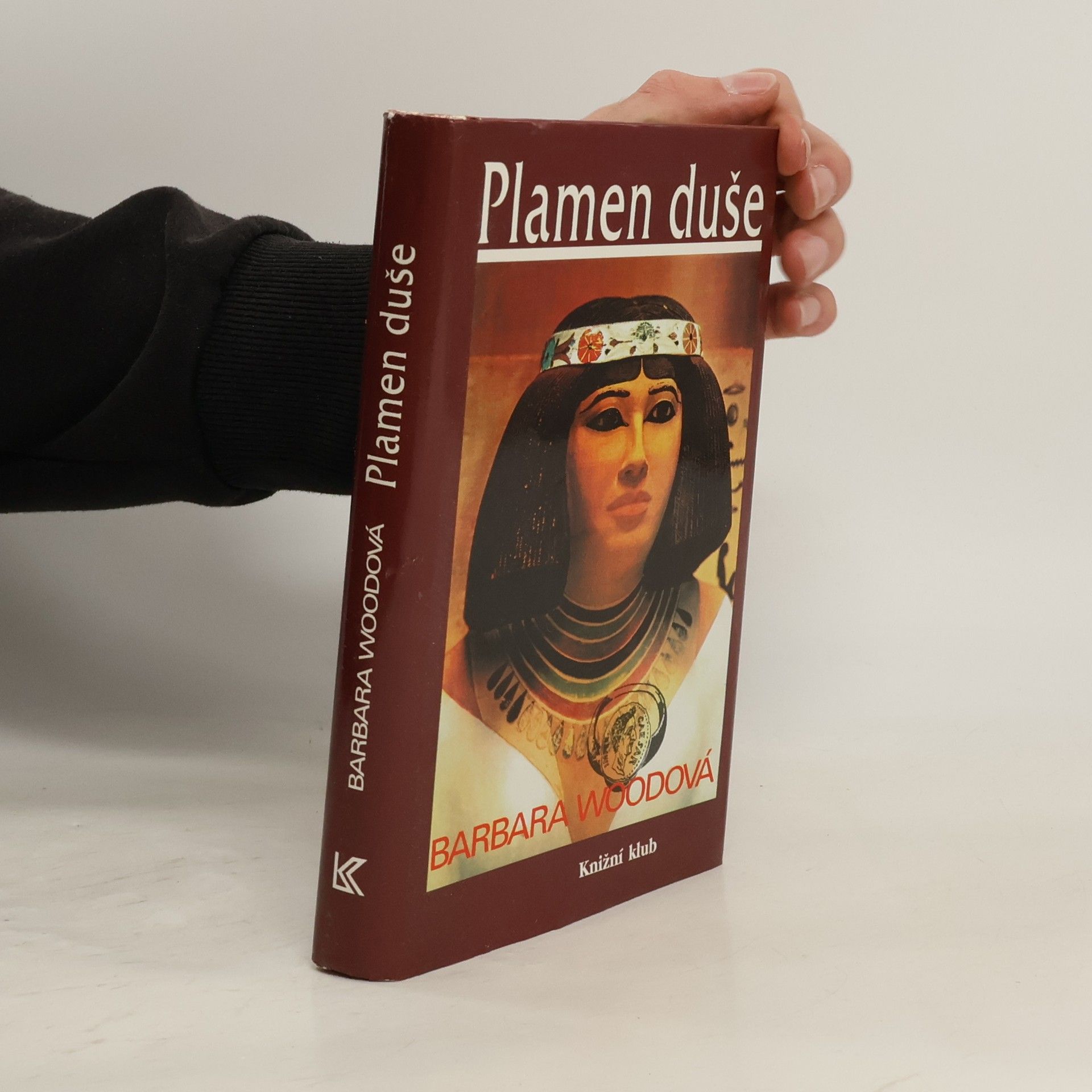 Barbara Wood Plamen duše