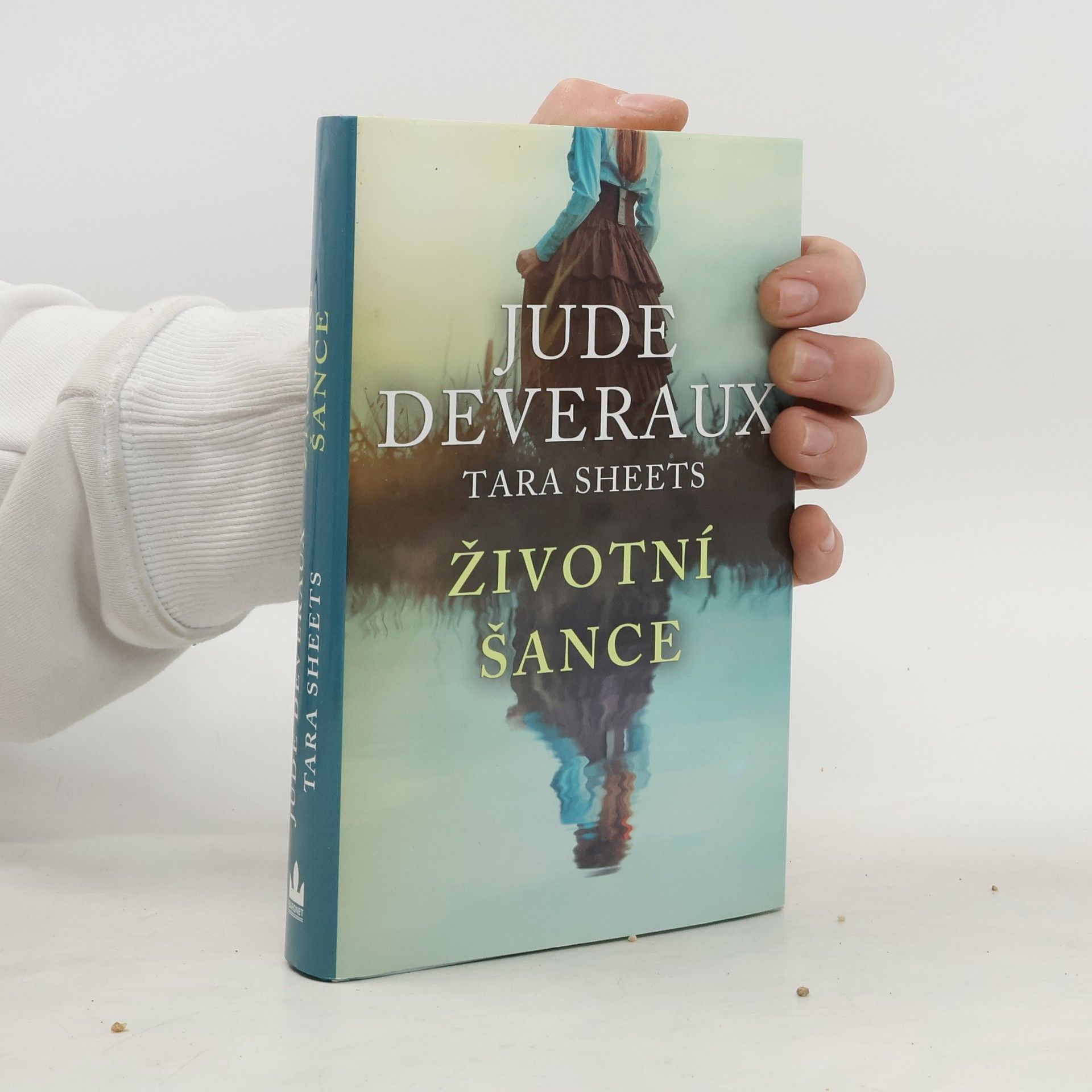 Jude Deveraux Životní šance