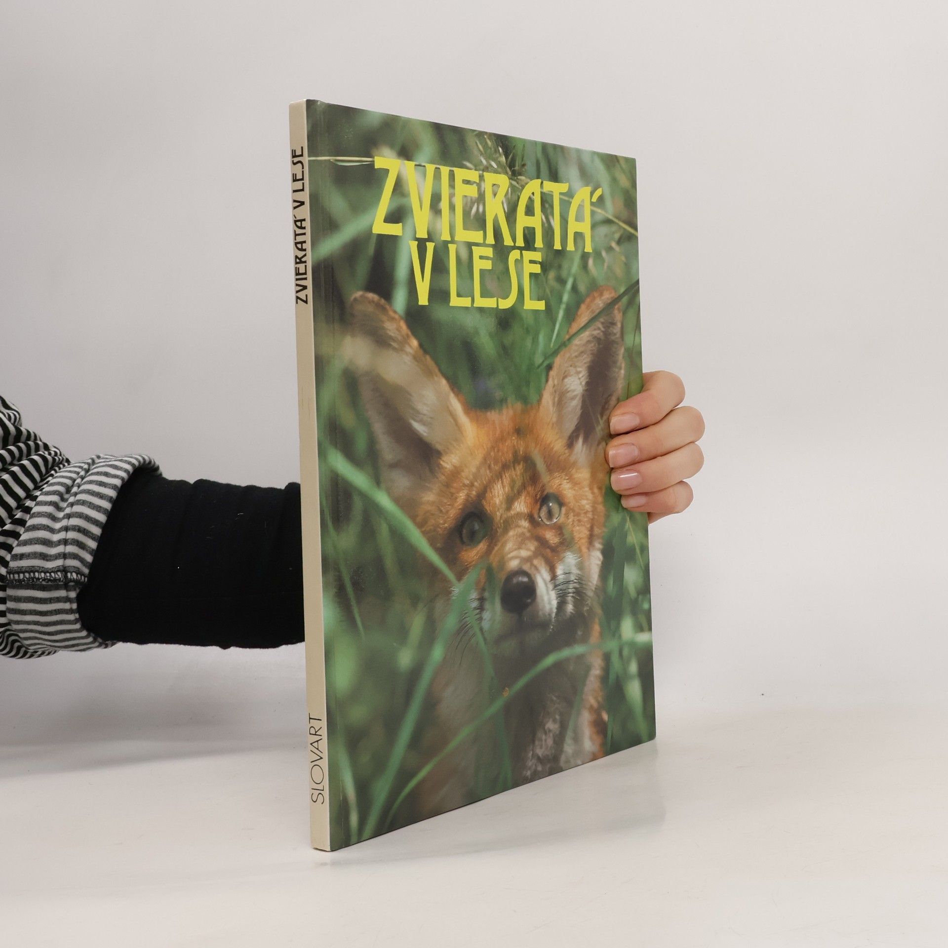 Milan Labuda Zvieratá v lese