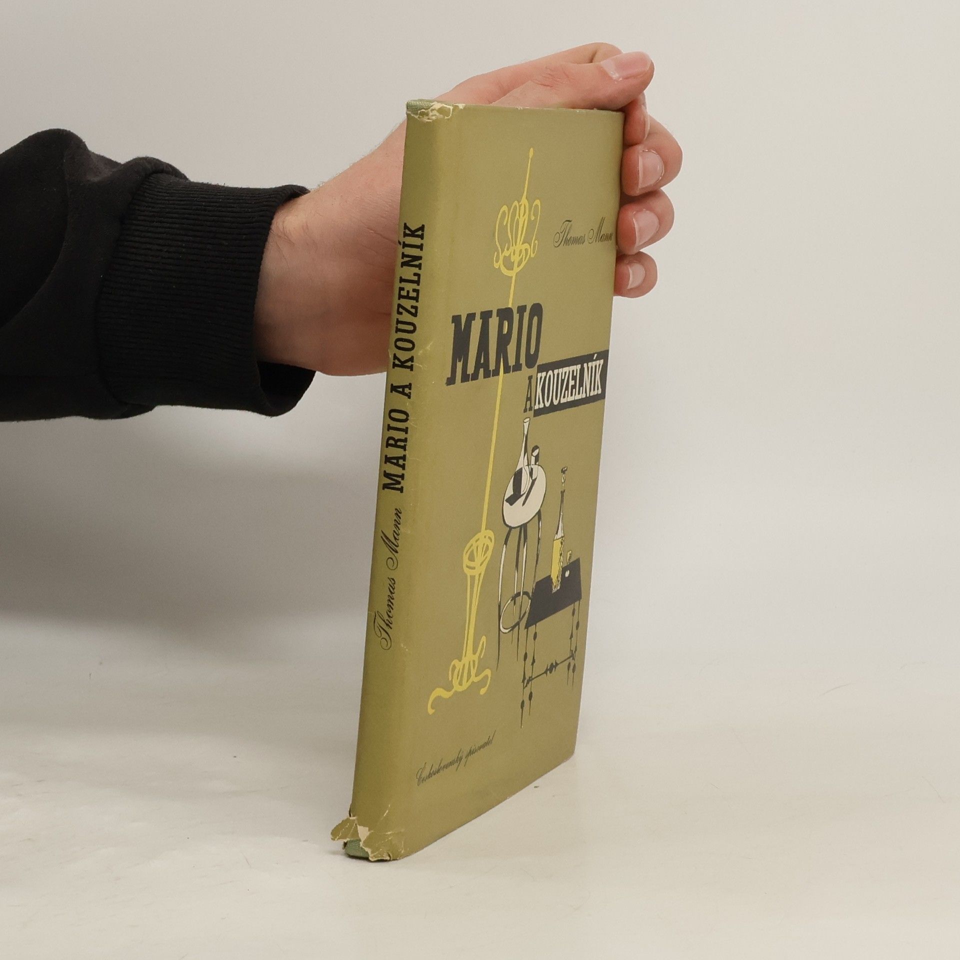 Thomas Mann Mario a kouzelník