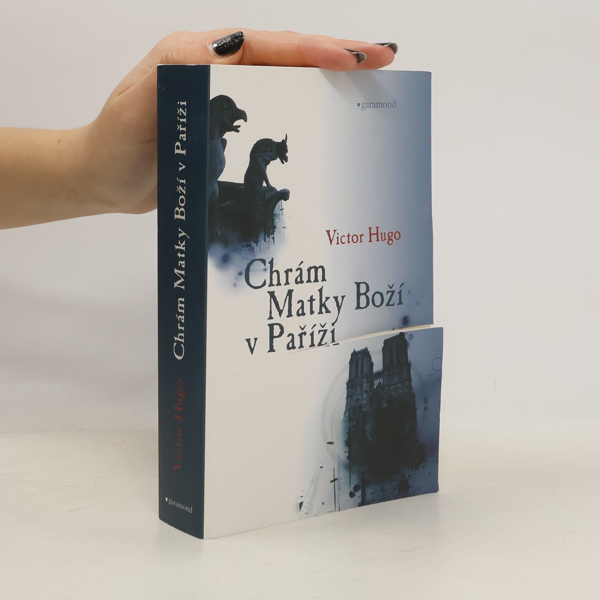 Victor Hugo Chrám Matky Boží v Paříži