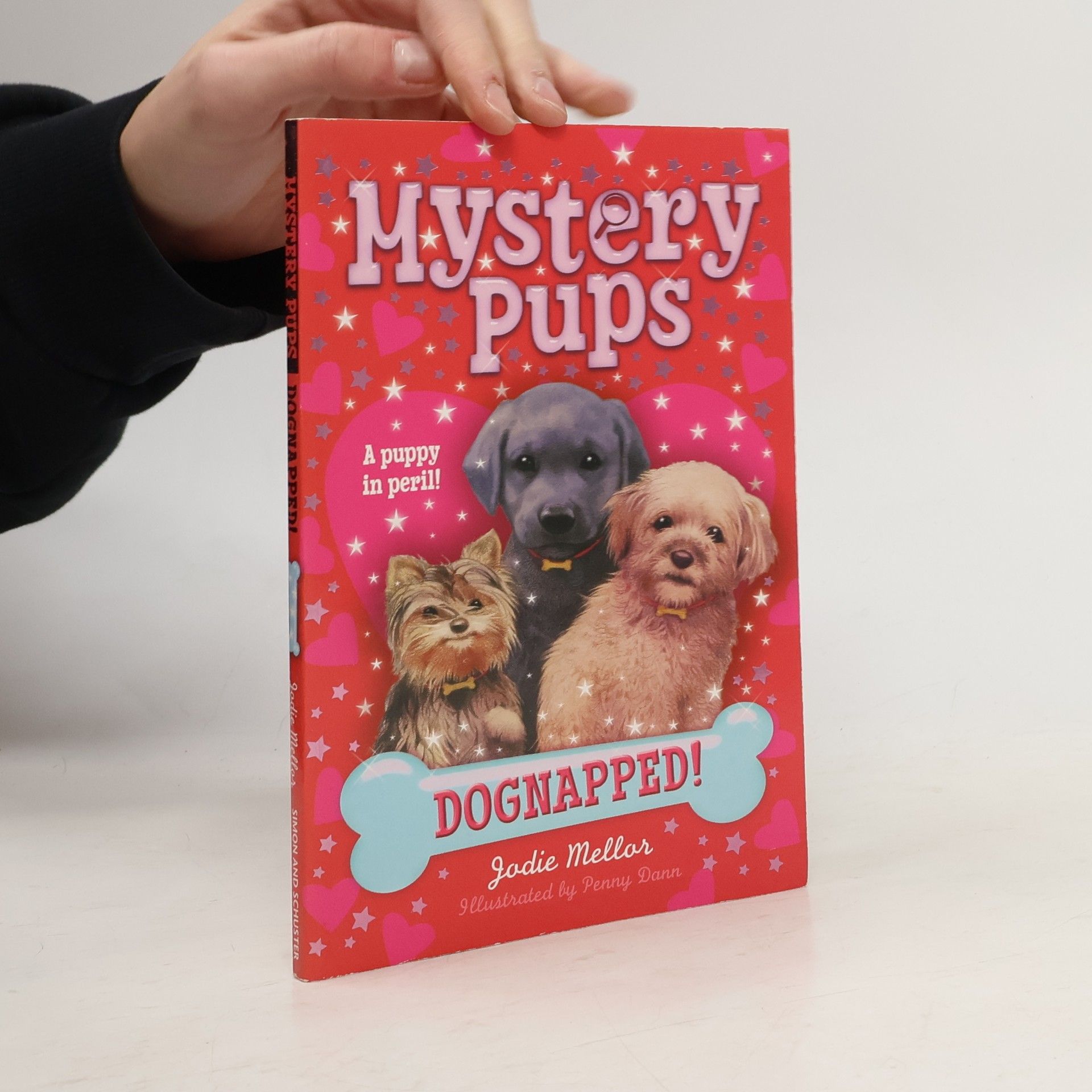 Mystery Pups: Dognapped!