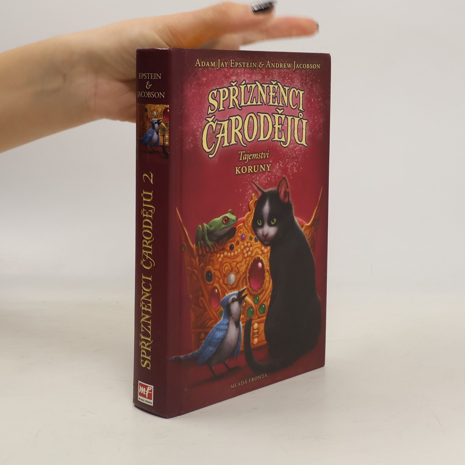 Spřízněnci čarodějů 2. Tajemství koruny.