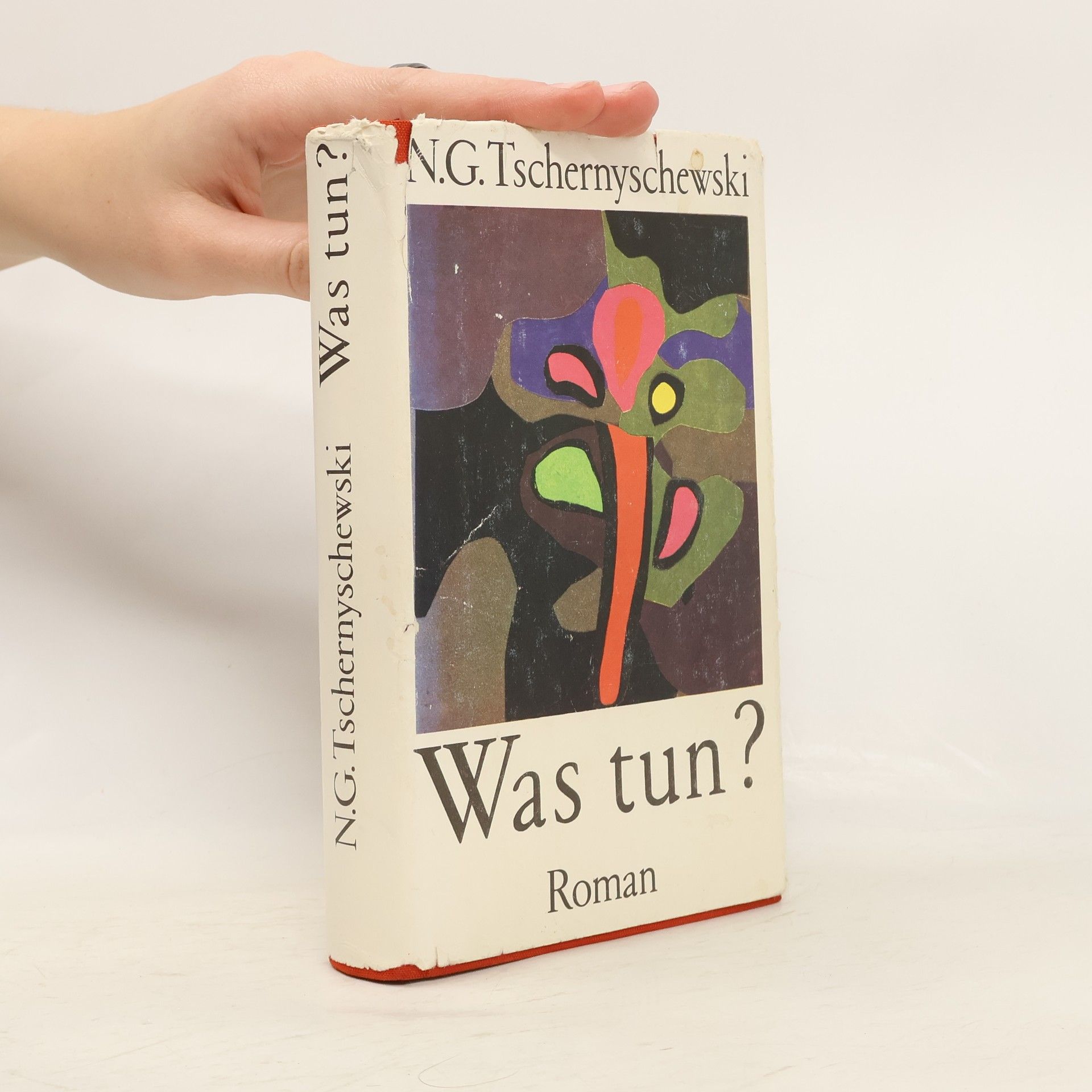 Nikolaj Gavrilovič Černyševskij Was tun?