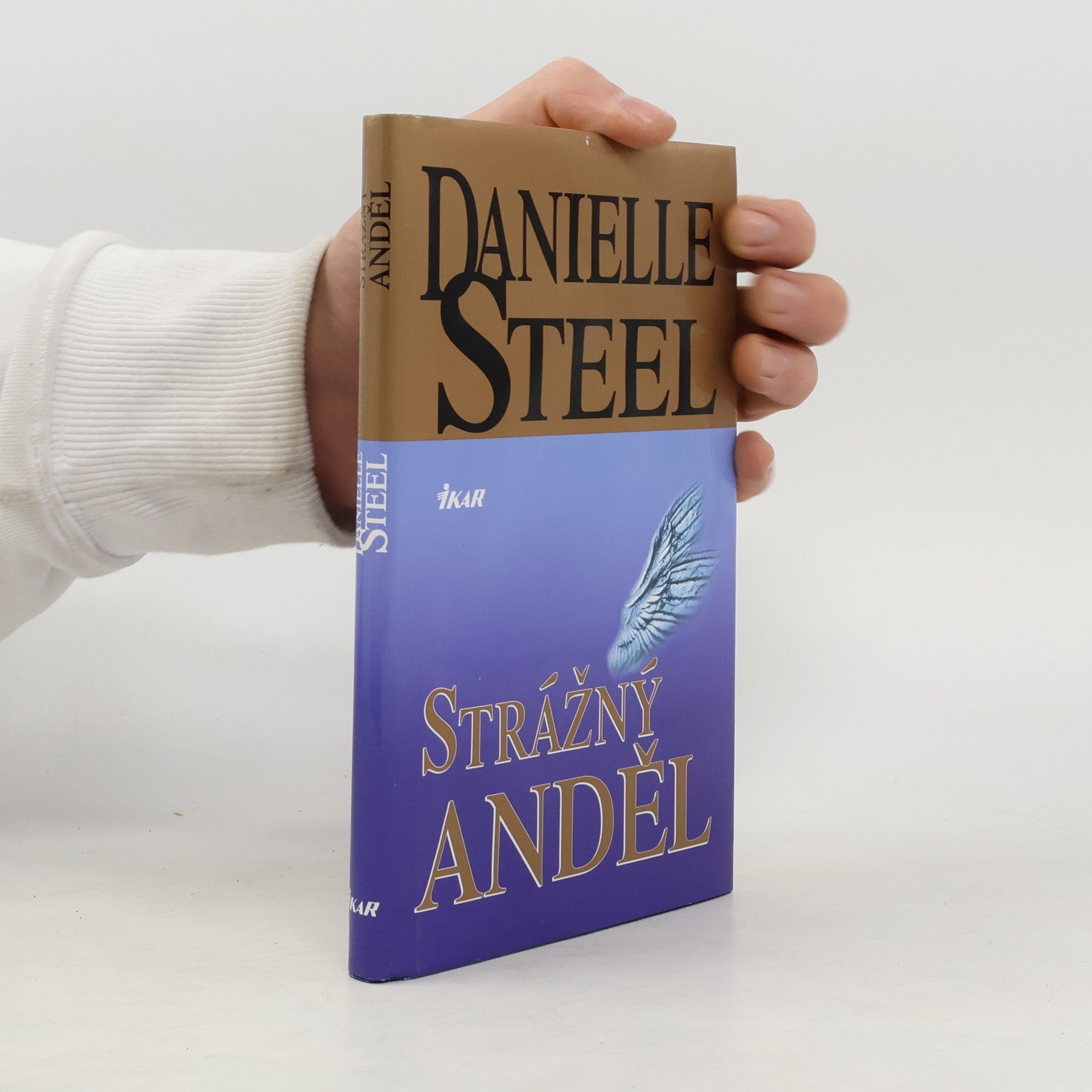 Danielle Steel Strážný anděl