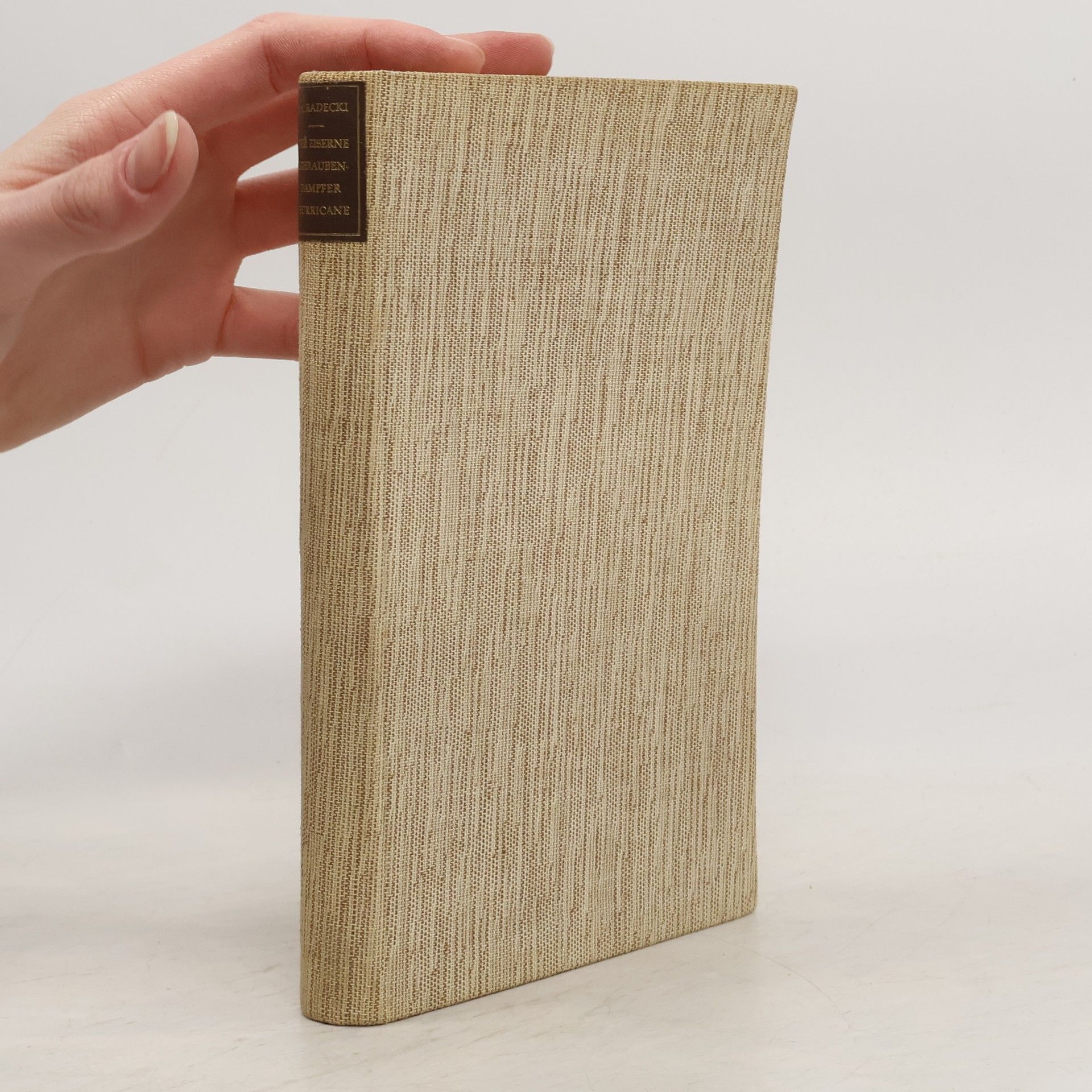 Sigismund von Radecki Der eiserne Schraubendampfer Hurricane