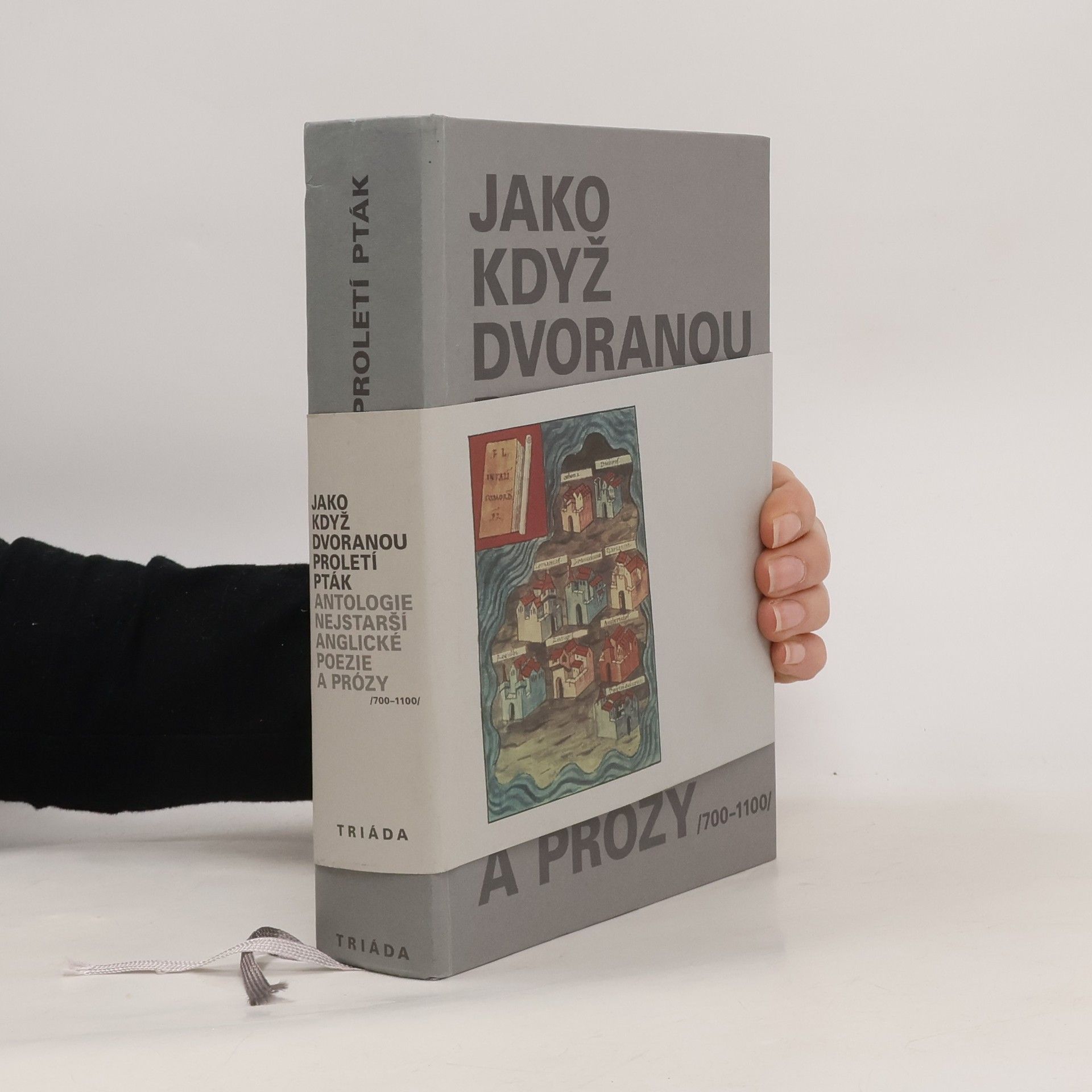 Jako když dvoranou proletí pták