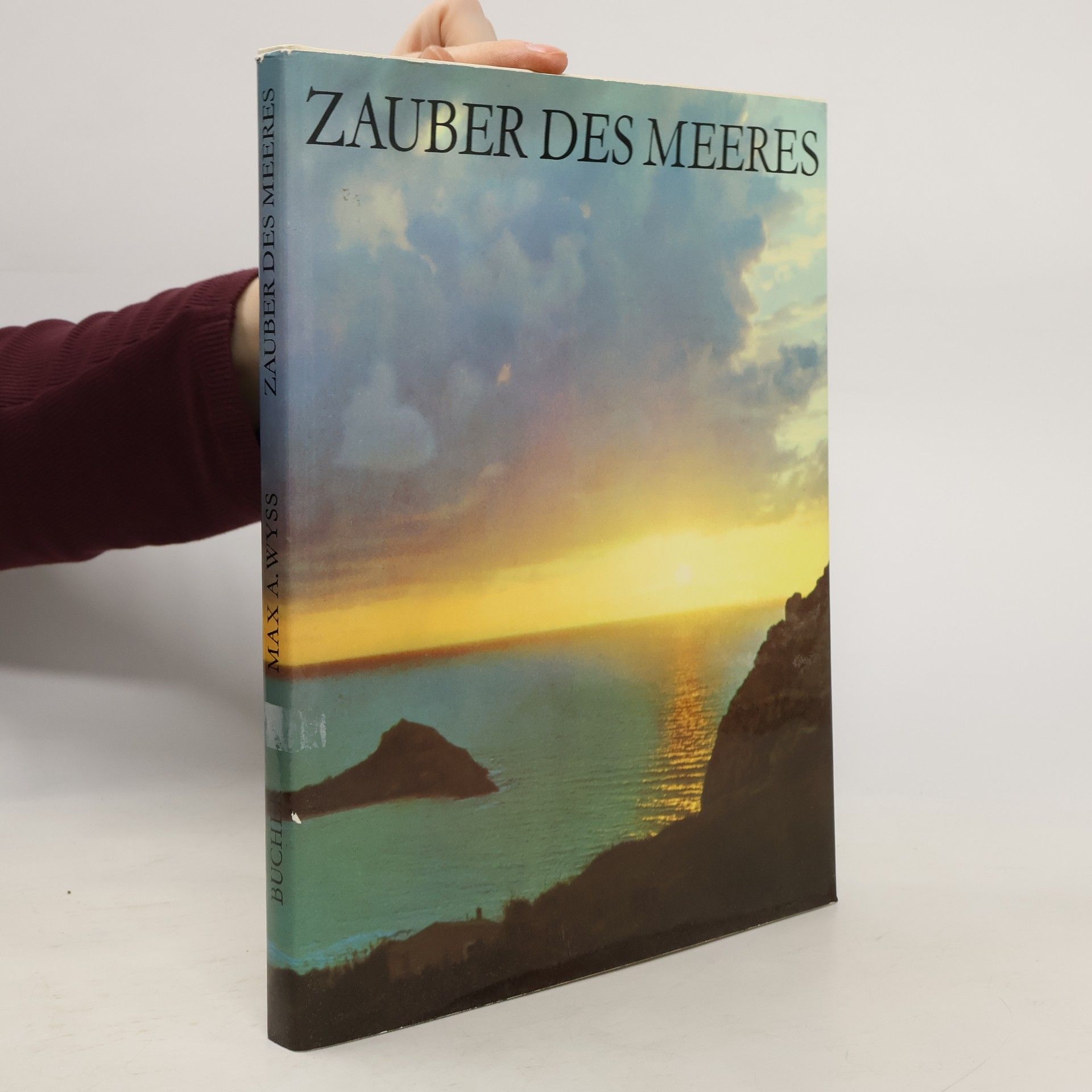 Max A. Wyss Zauber des Meeres