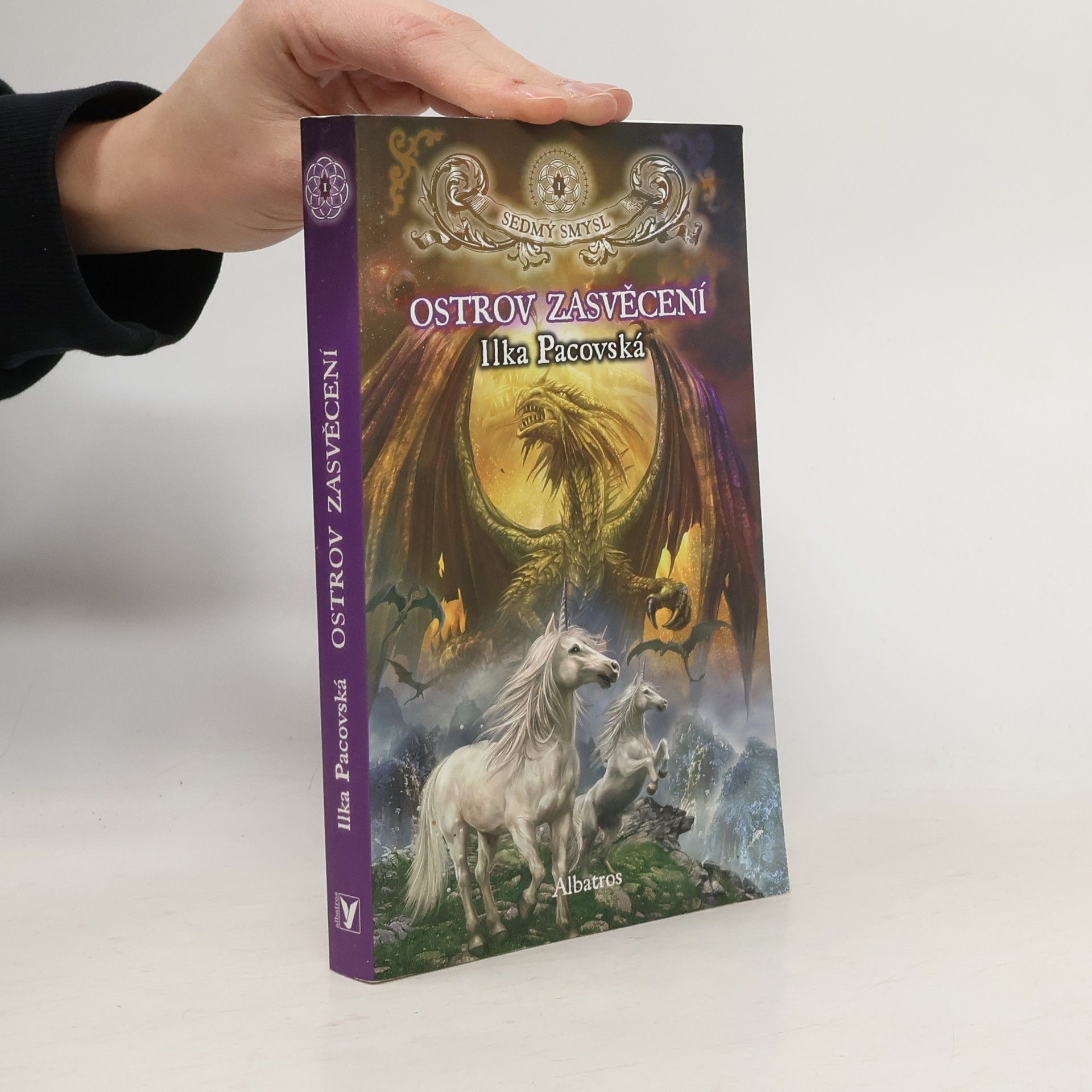 Ilka Pacovská Ostrov zasvěcení