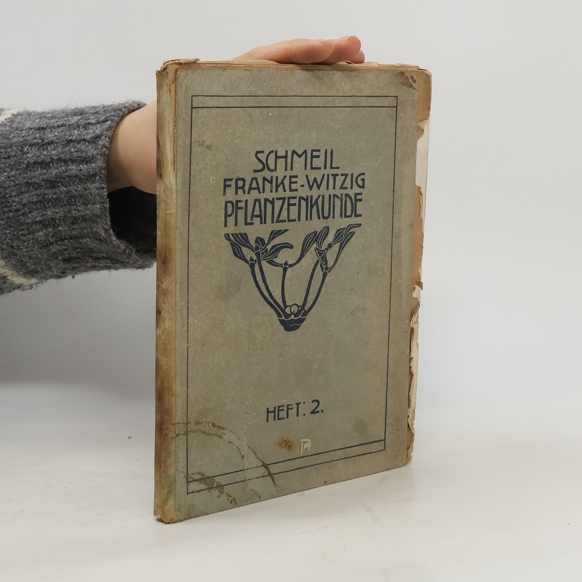 Otto Schmeil Pflanzenkunde Heft 2