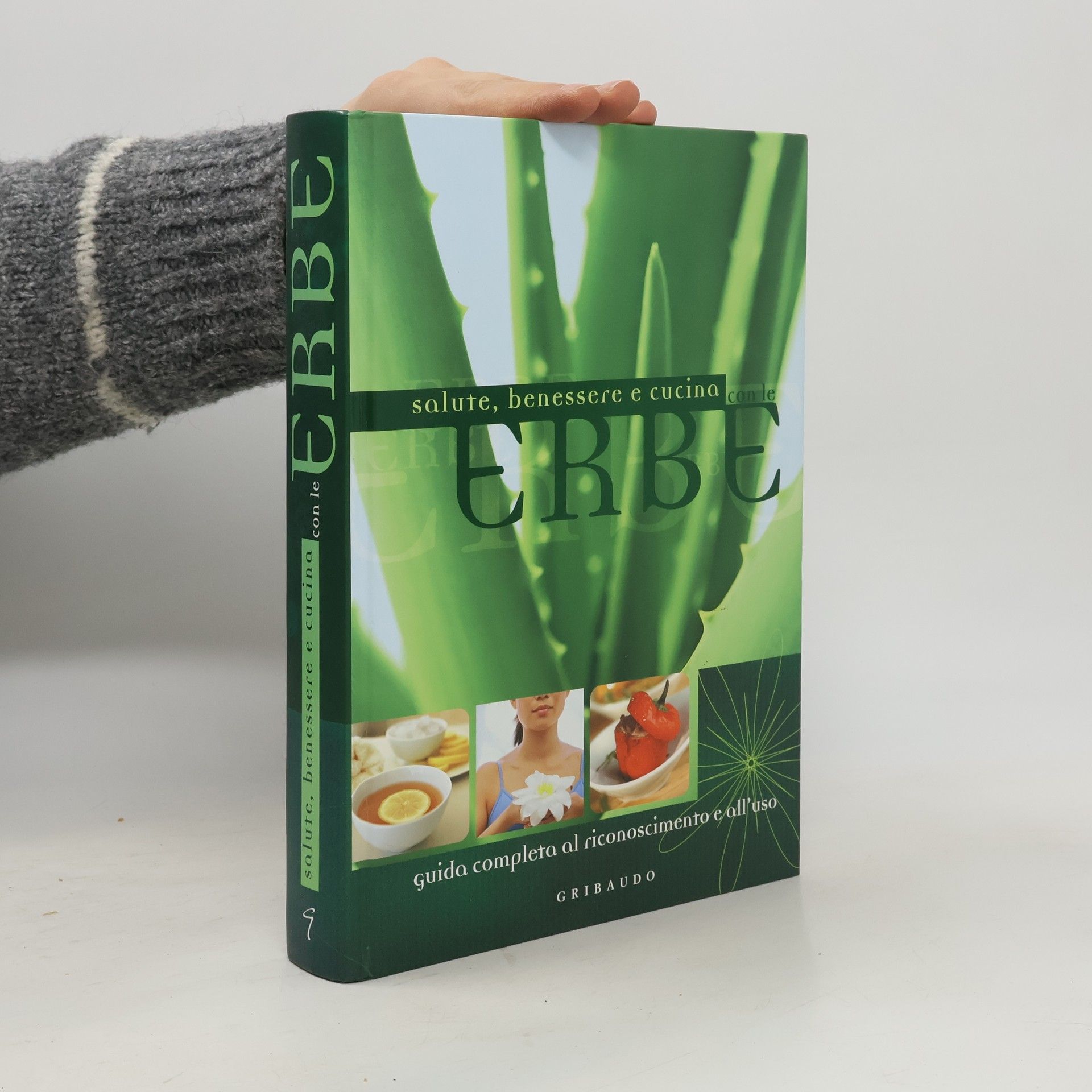 Erbe. Guida completa al riconoscimento e all'uso